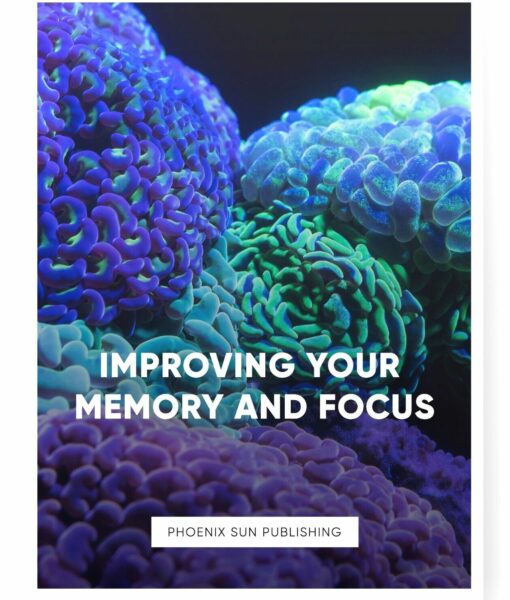 Improving Your Memory and Focus