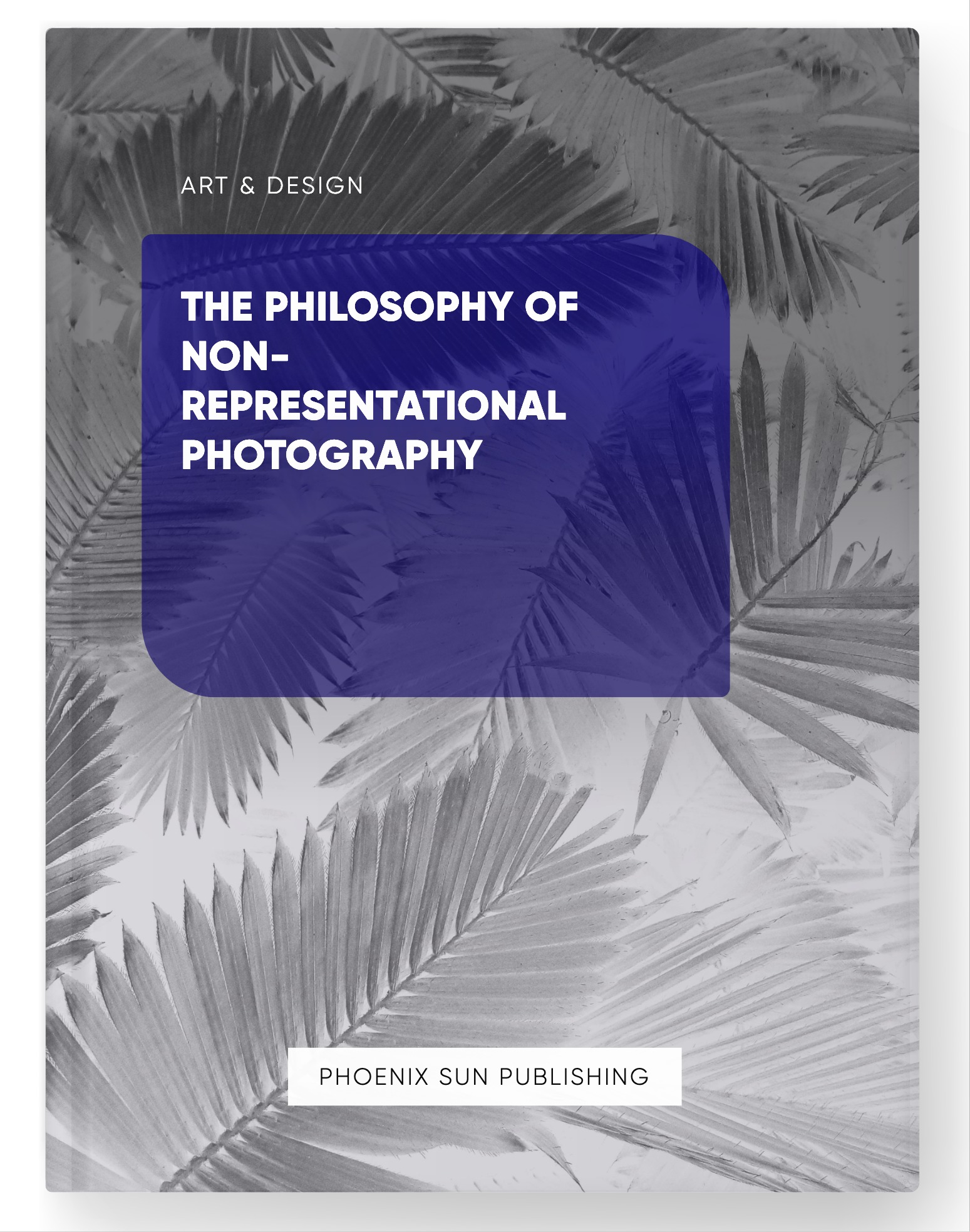 The Philosophy of Non-Representational Photography