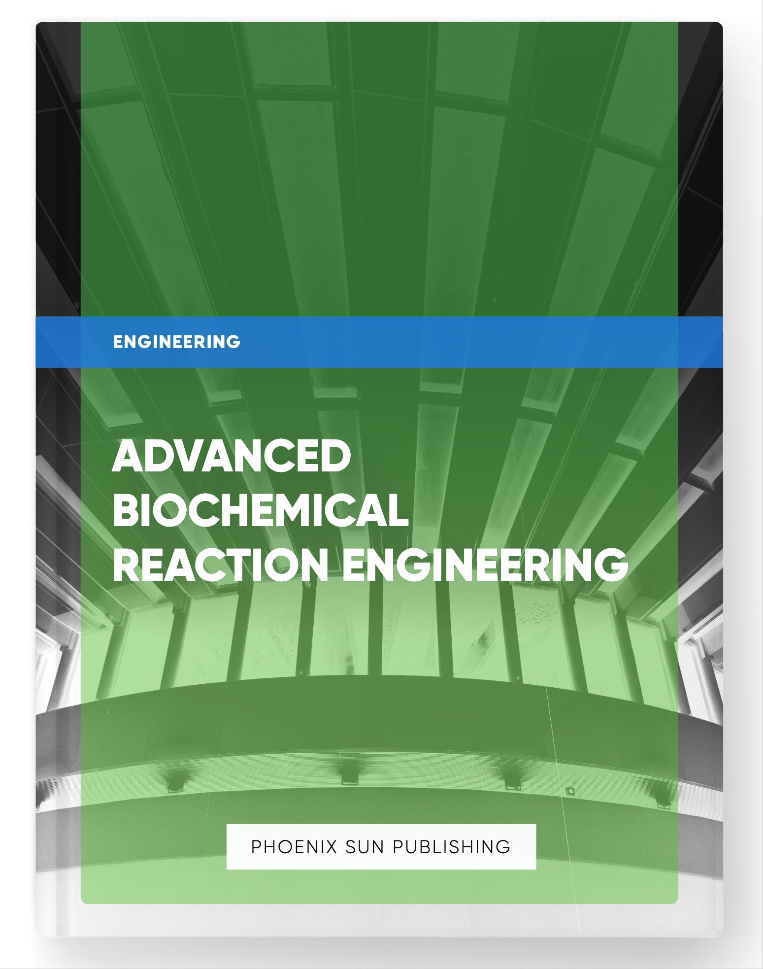 Advanced Biochemical Reaction Engineering