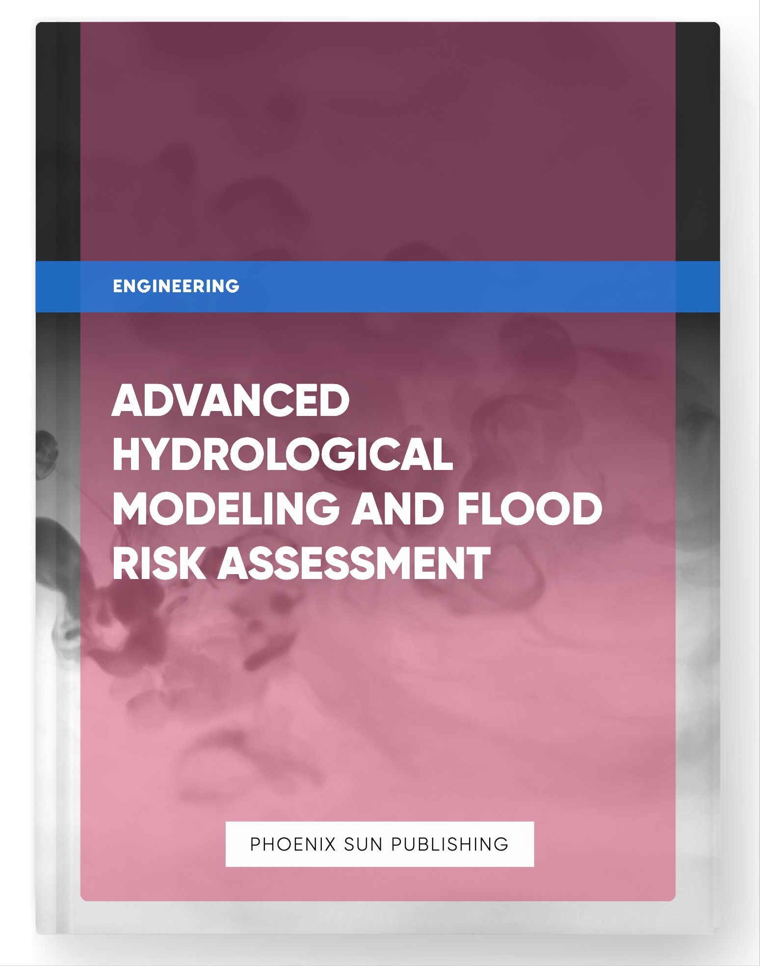 Advanced Hydrological Modeling and Flood Risk Assessment