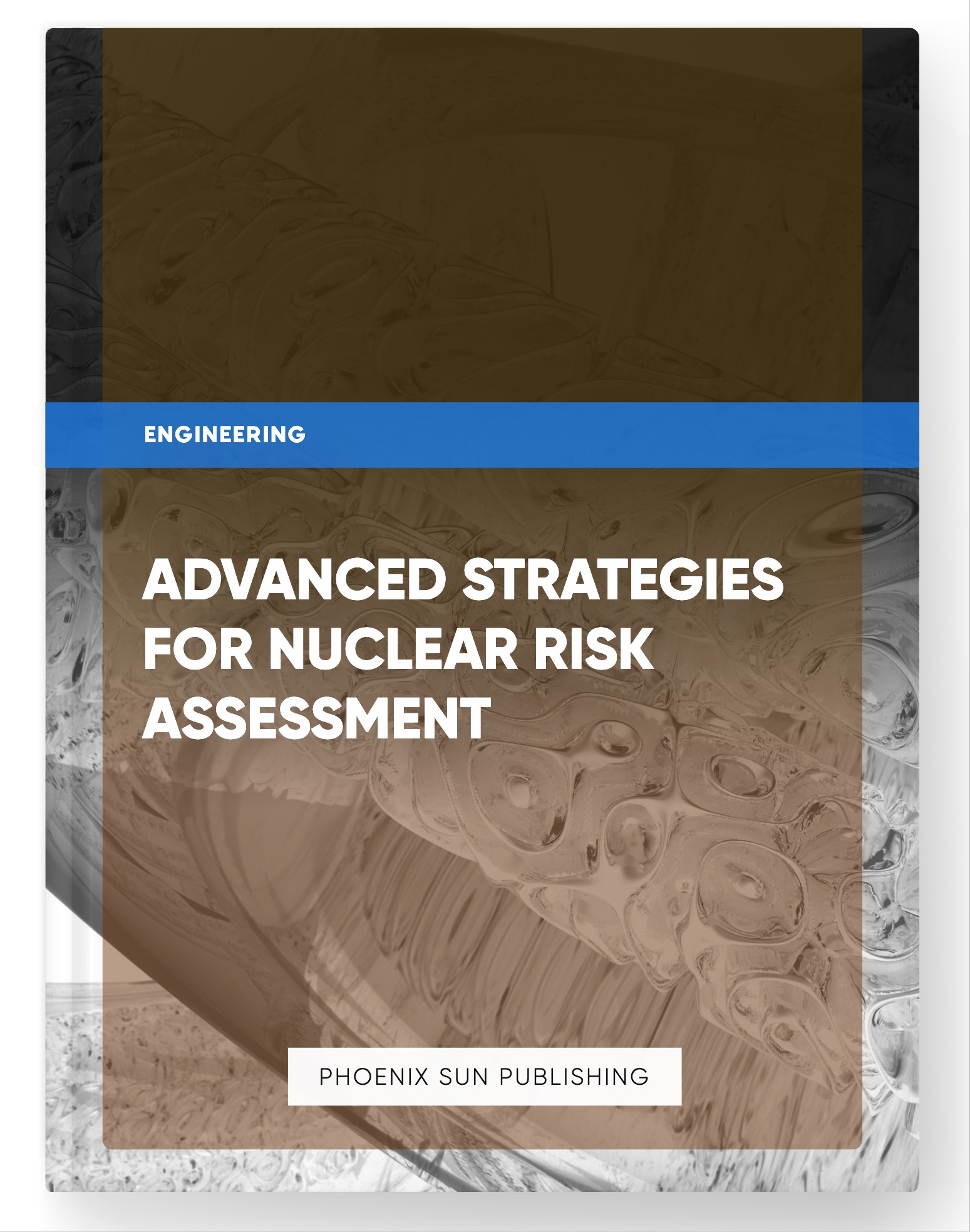 Advanced Strategies for Nuclear Risk Assessment