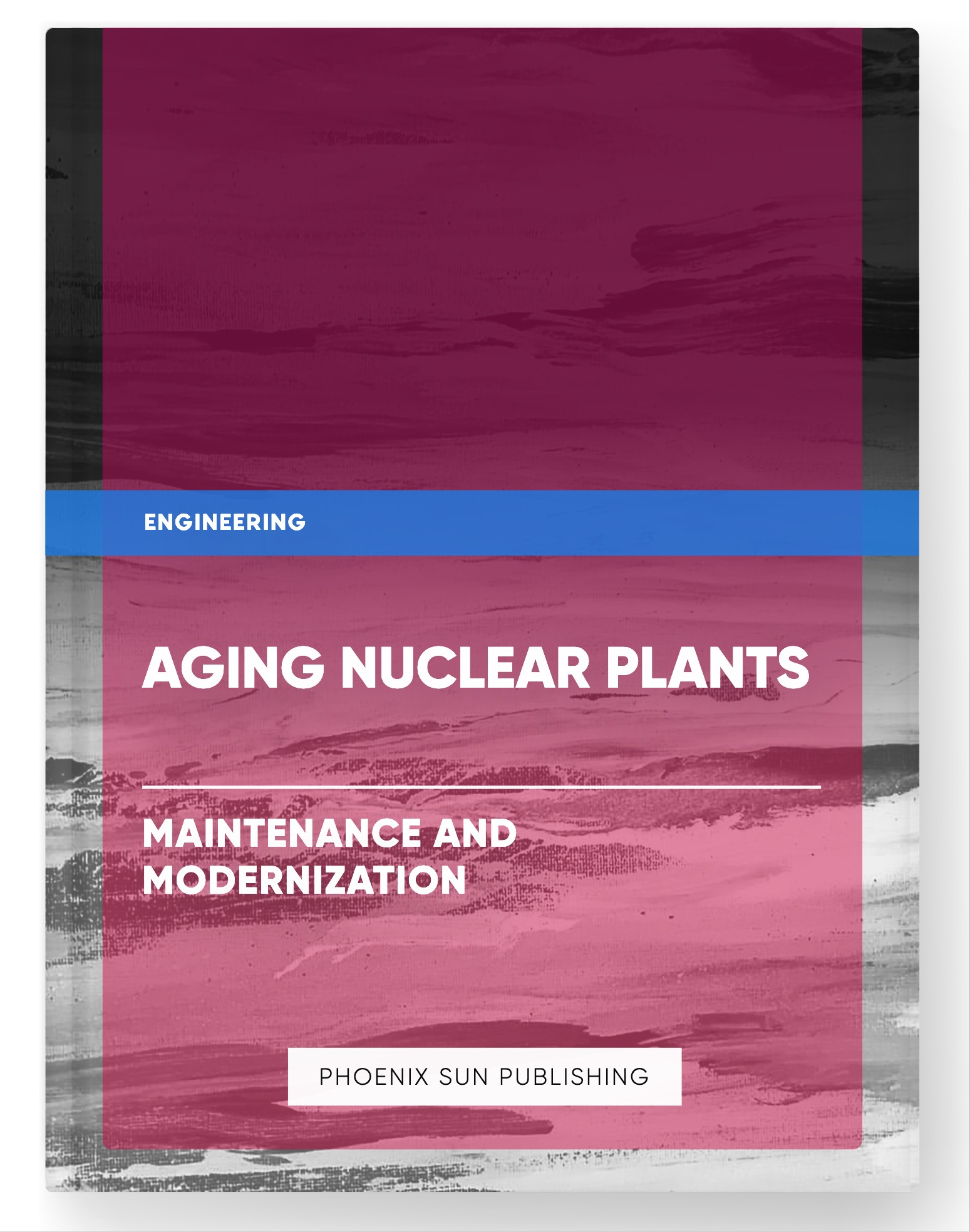 Aging Nuclear Plants – Maintenance and Modernization