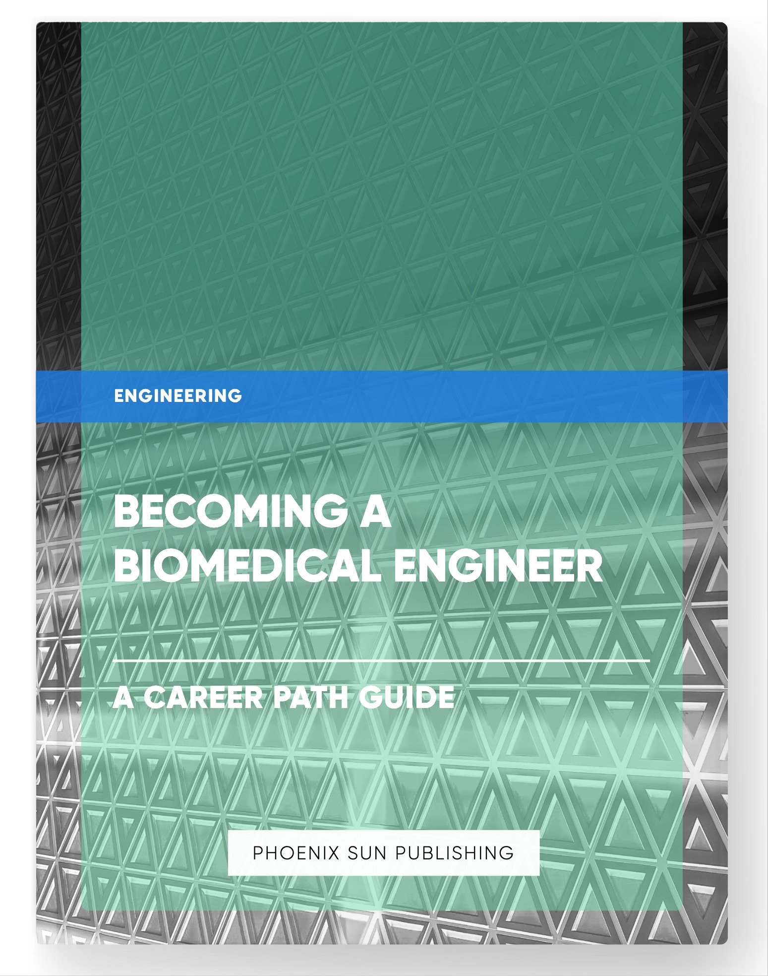 Becoming a Biomedical Engineer – A Career Path Guide