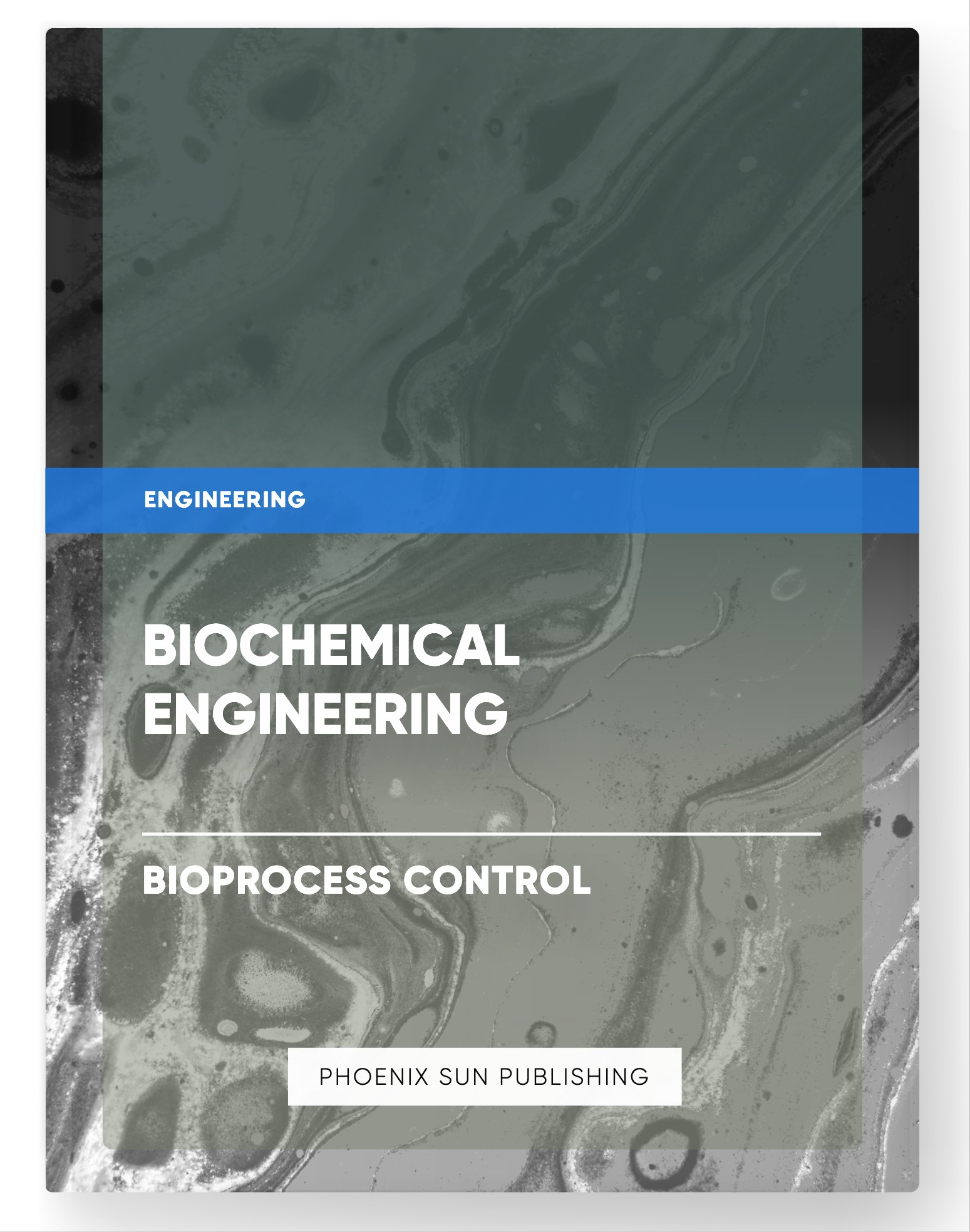 Biochemical Engineering – Bioprocess Control