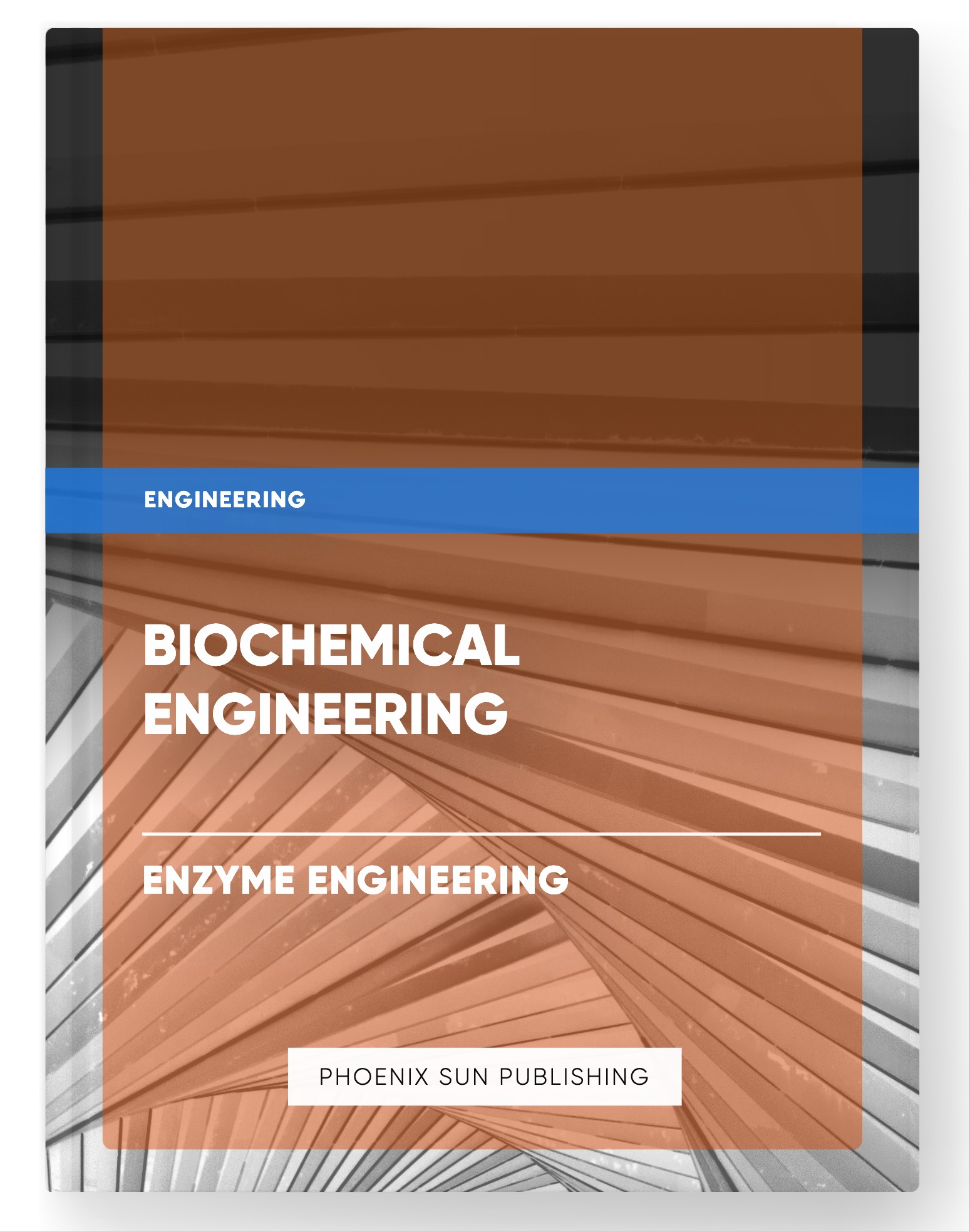 Biochemical Engineering – Enzyme Engineering