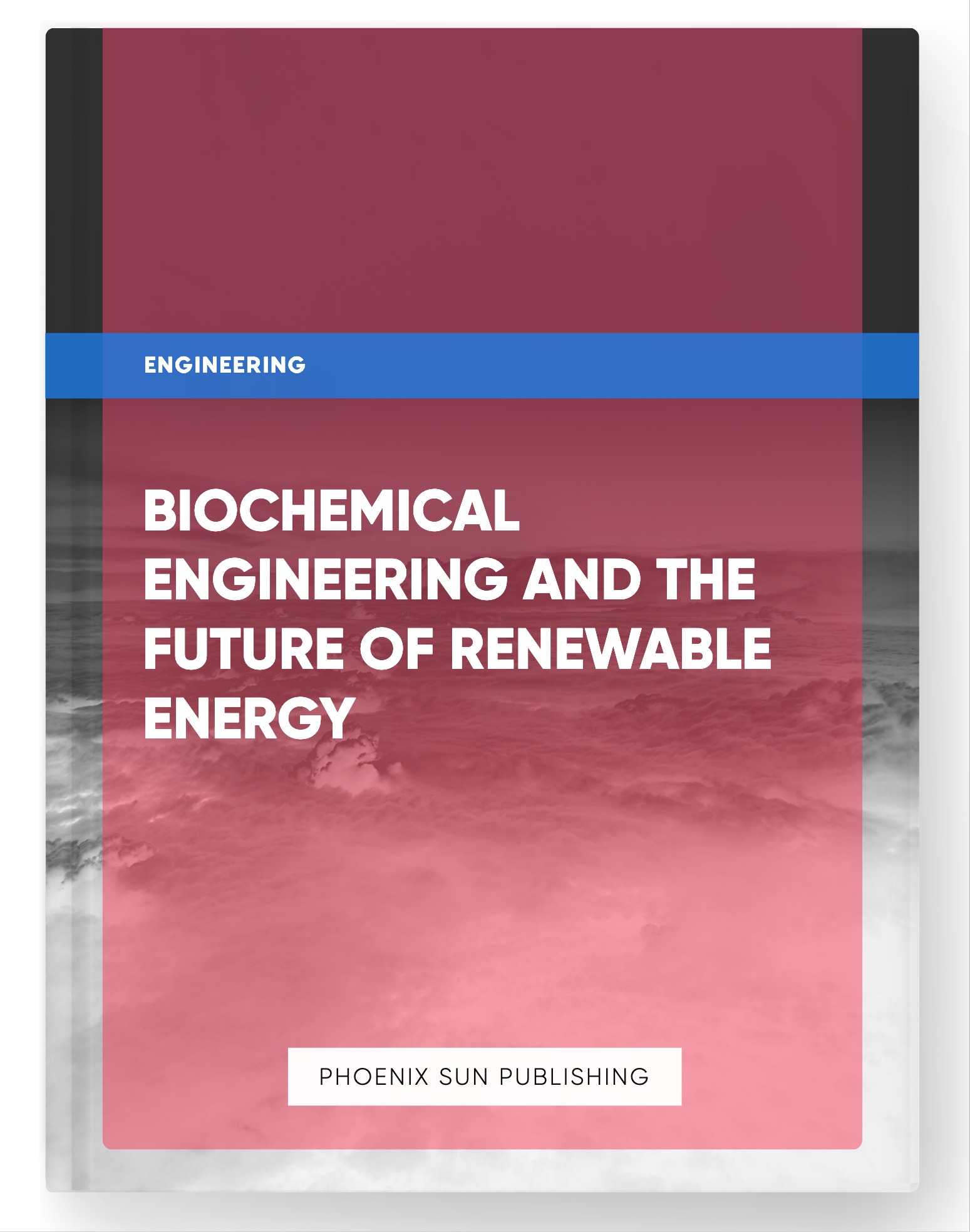 Biochemical Engineering and the Future of Renewable Energy