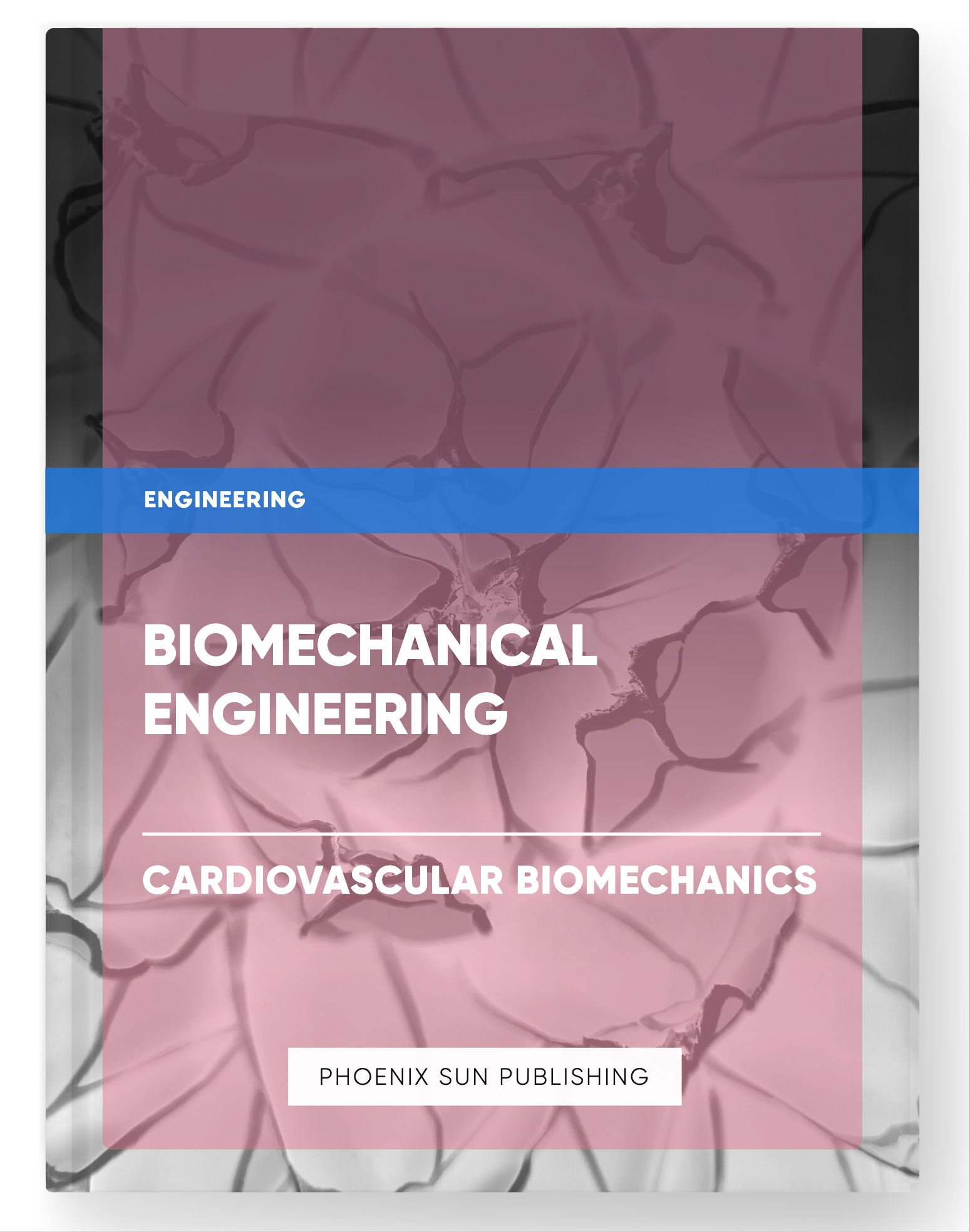 Biomechanical Engineering – Cardiovascular Biomechanics