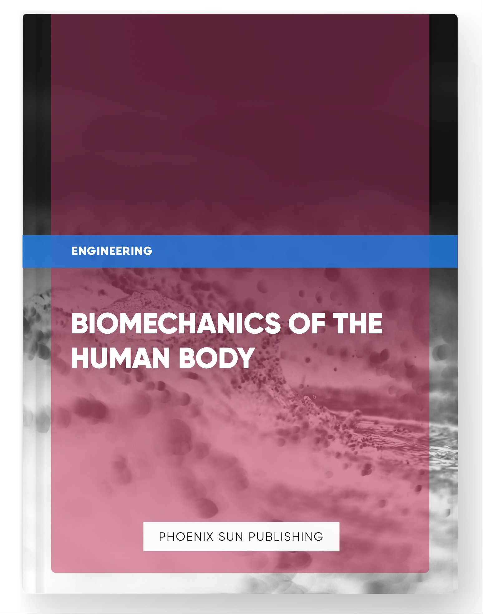 Biomechanics of the Human Body