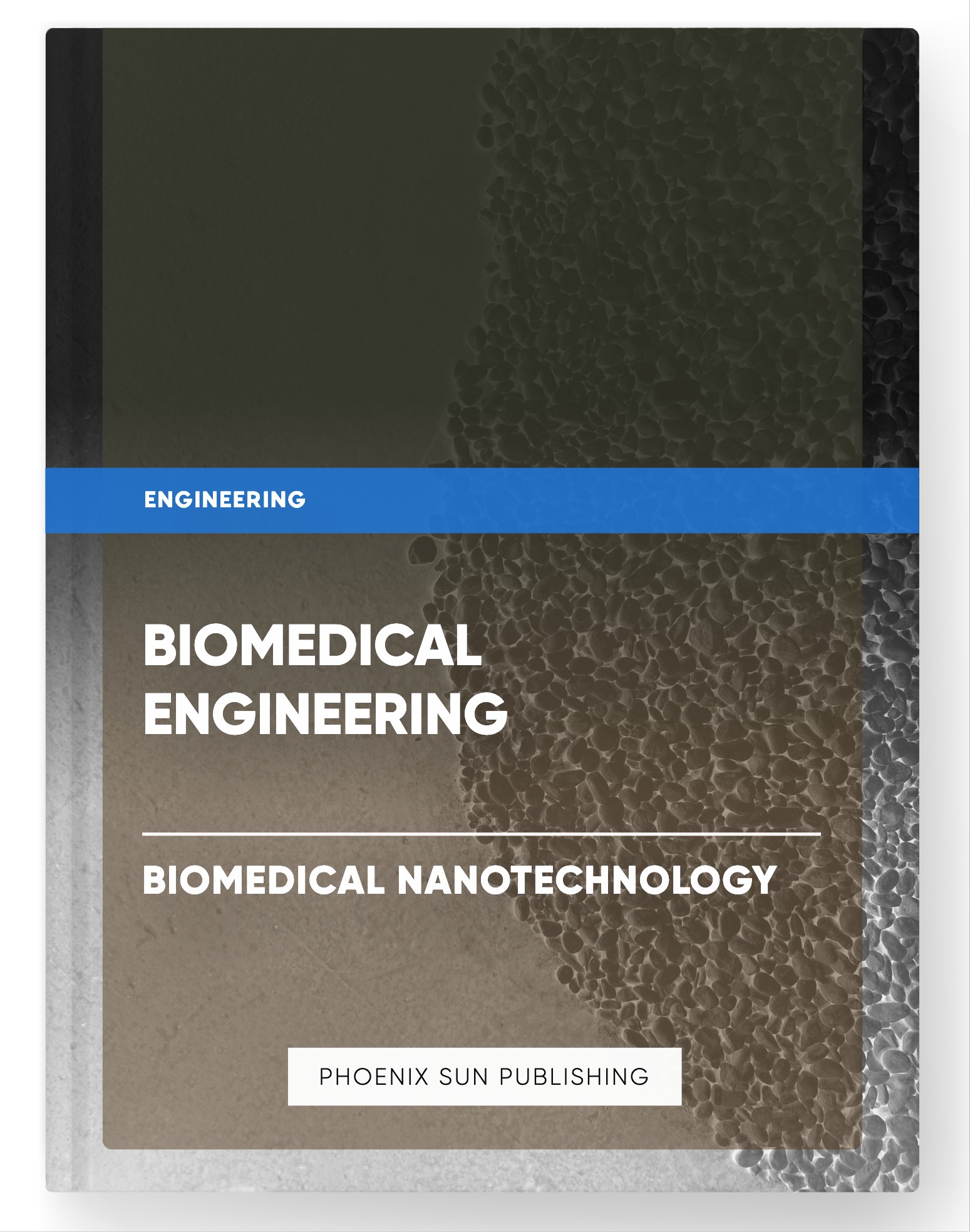 Biomedical Engineering – Biomedical Nanotechnology