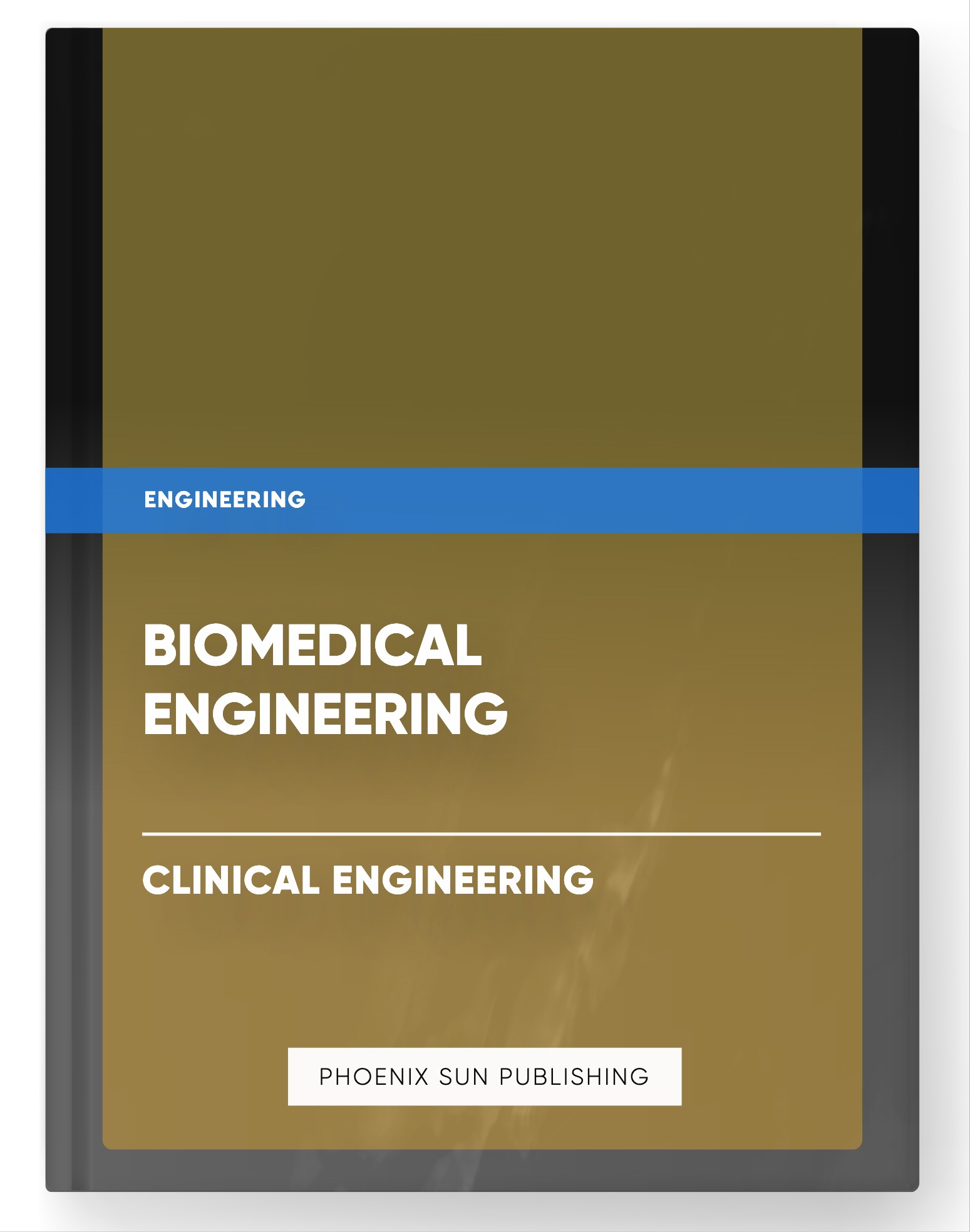 Biomedical Engineering – Clinical Engineering