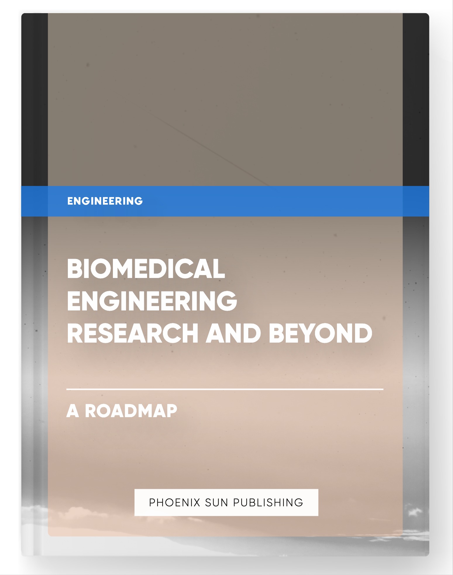 Biomedical Engineering Research and Beyond – A Roadmap