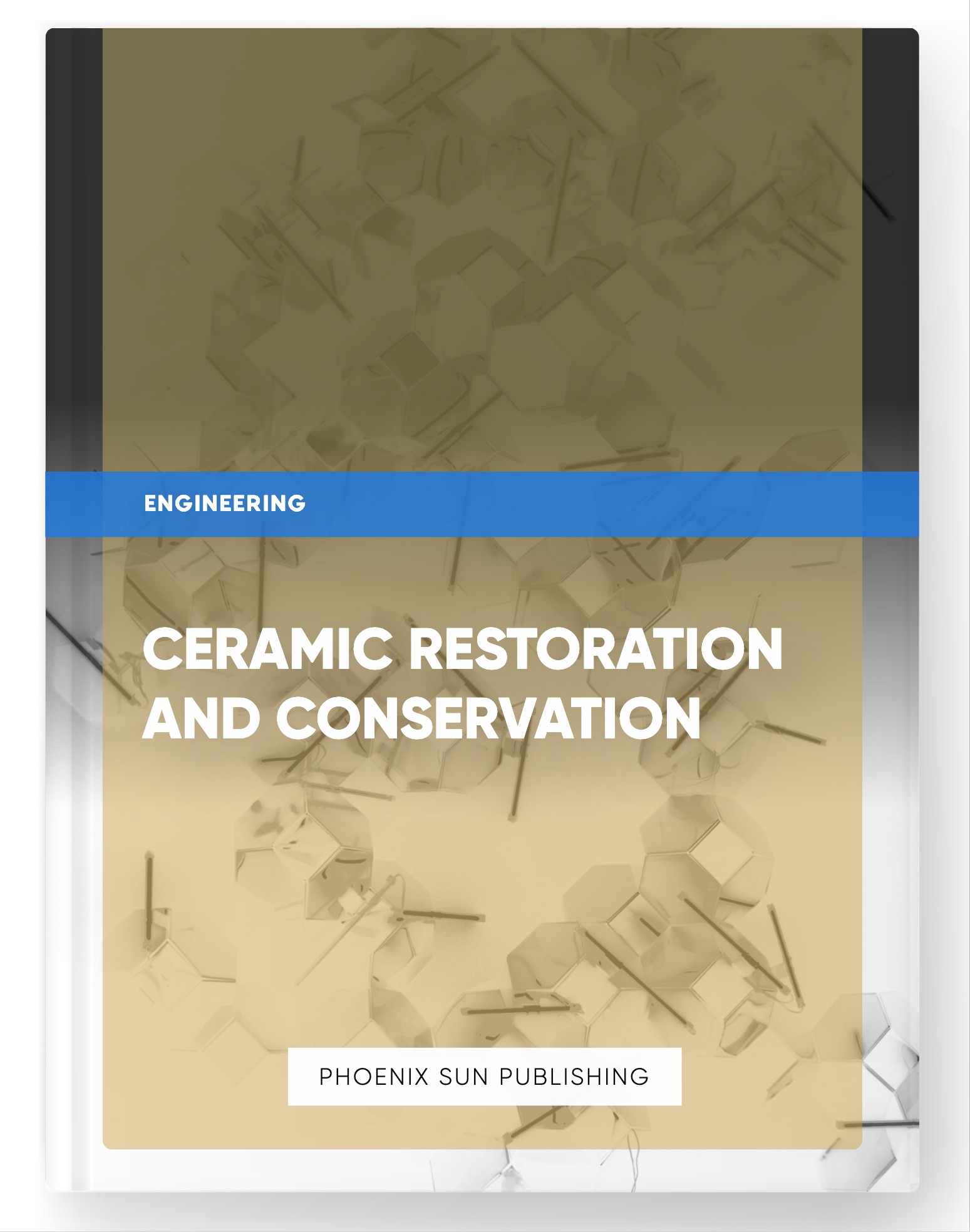 Ceramic Restoration and Conservation