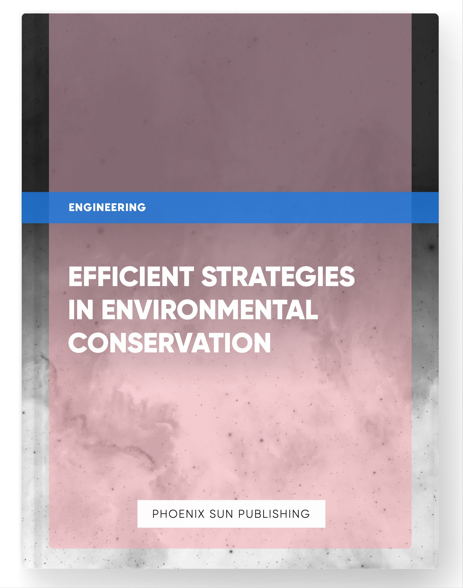 Efficient Strategies in Environmental Conservation