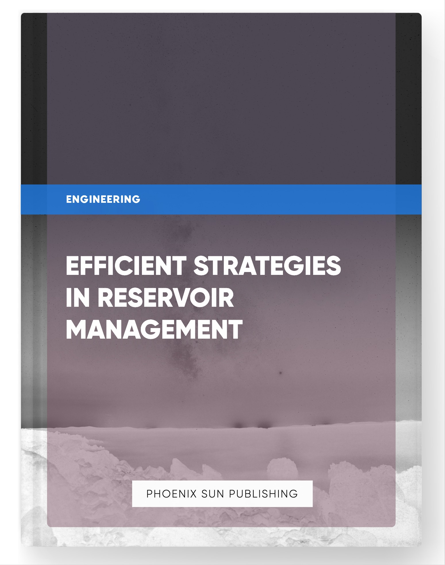 Efficient Strategies in Reservoir Management