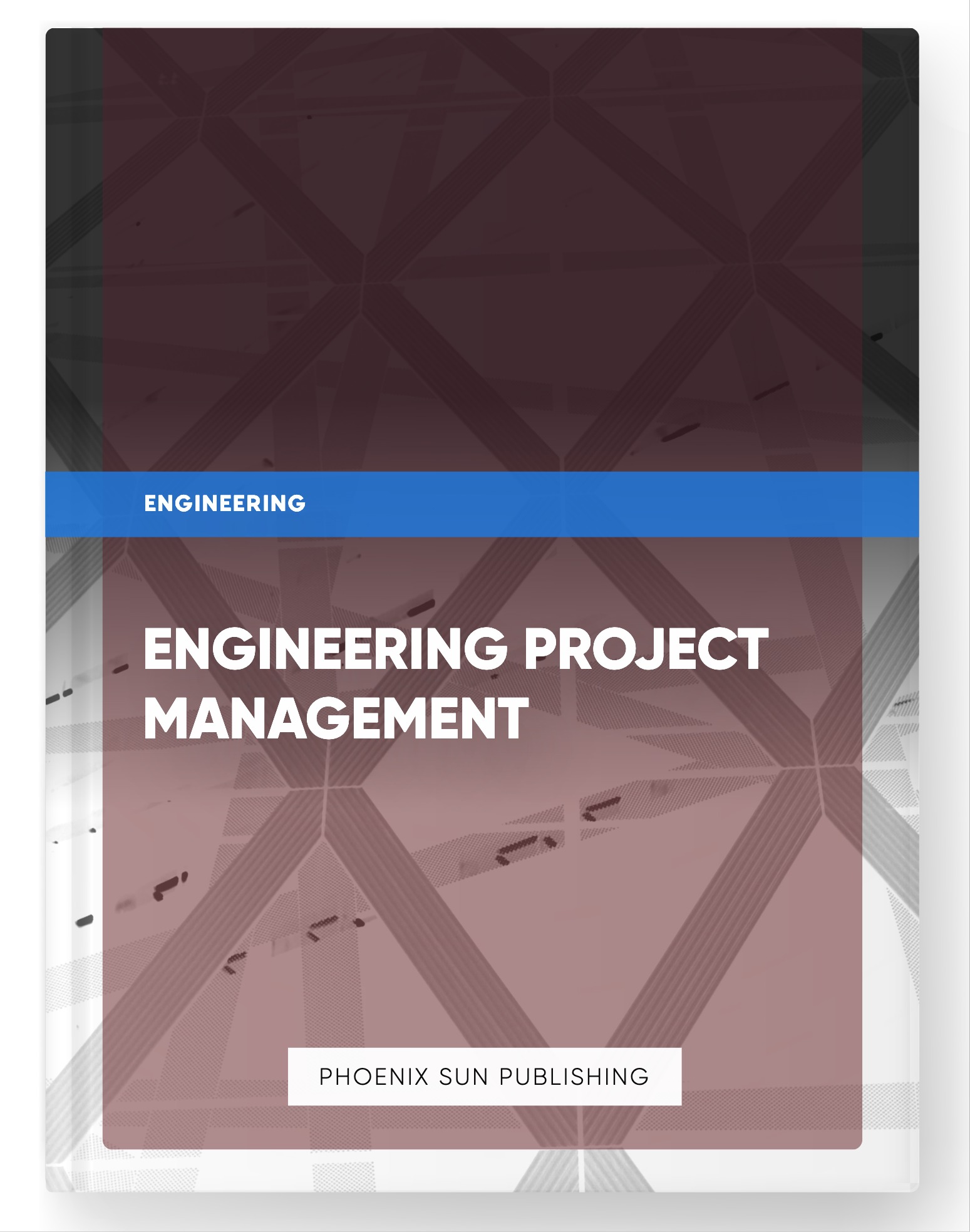 Engineering Project Management