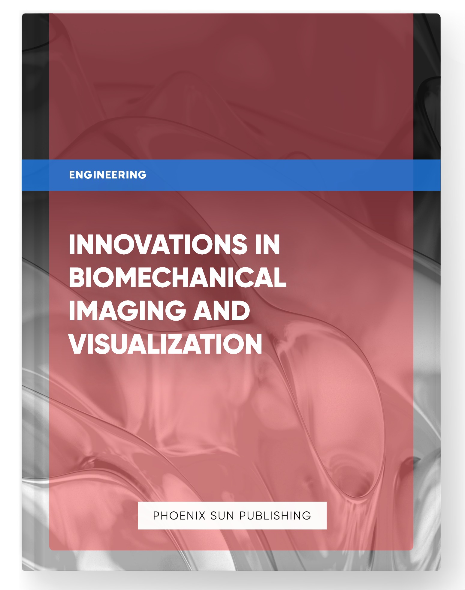 Innovations in Biomechanical Imaging and Visualization