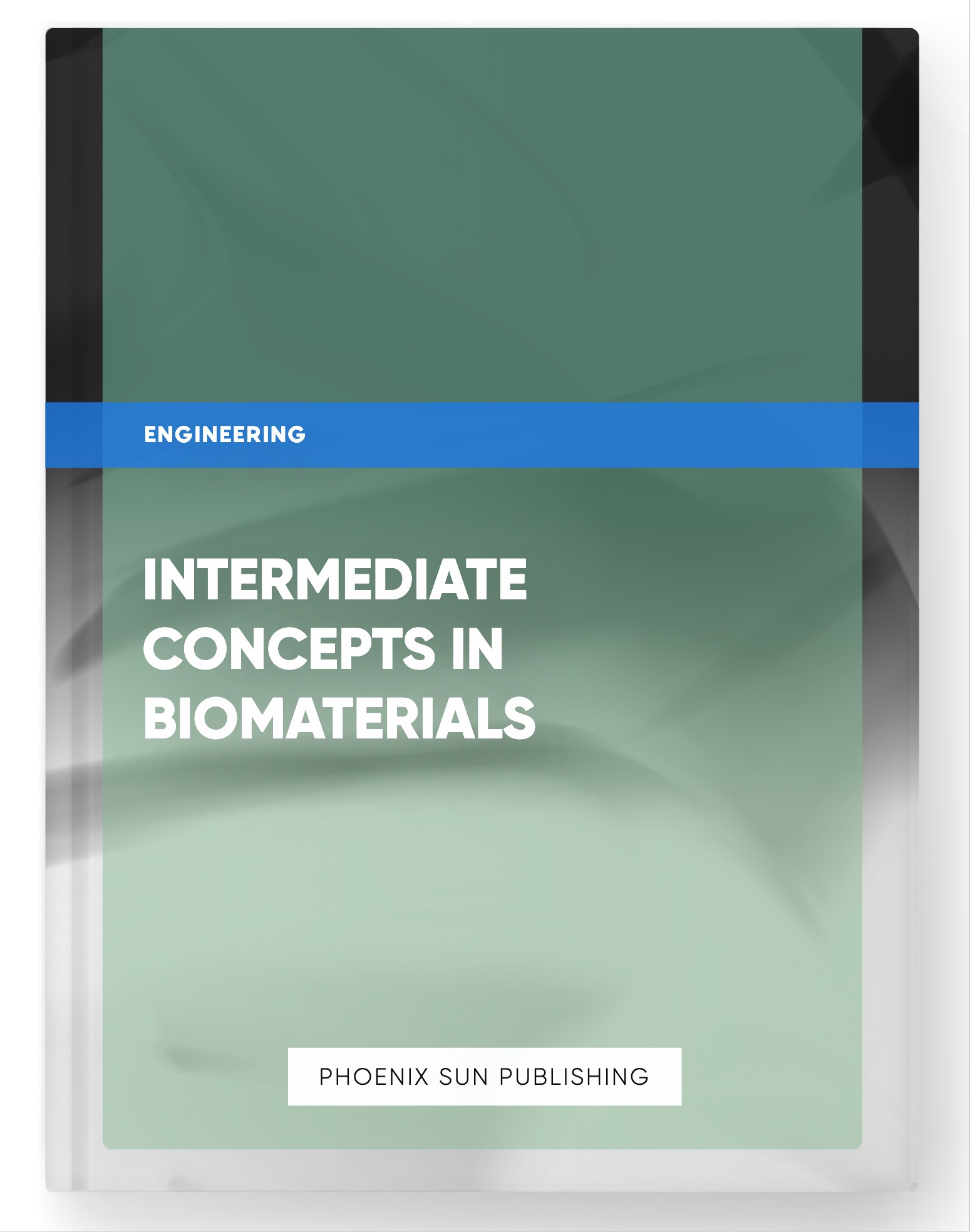 Intermediate Concepts in Biomaterials