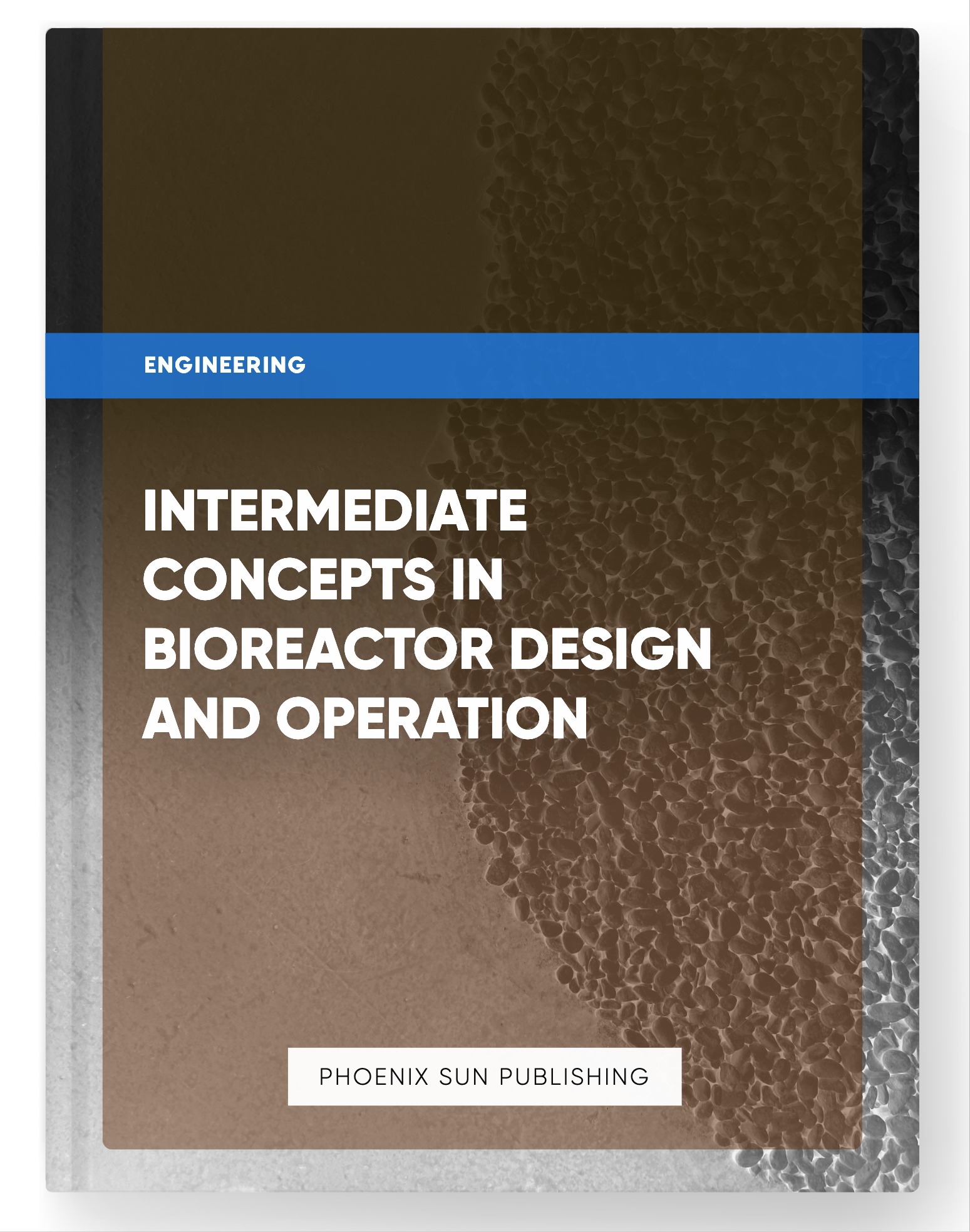 Intermediate Concepts in Bioreactor Design and Operation