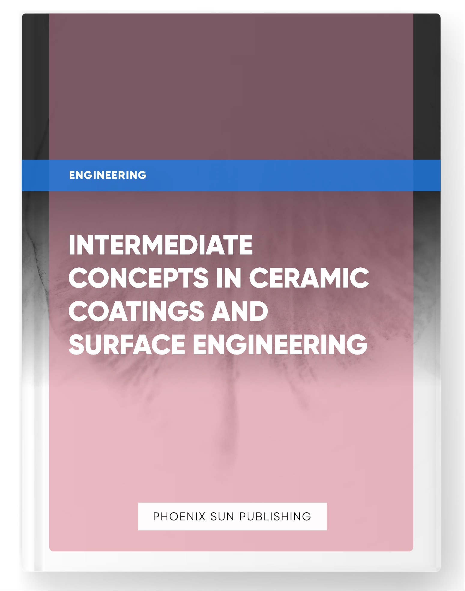 Intermediate Concepts in Ceramic Coatings and Surface Engineering