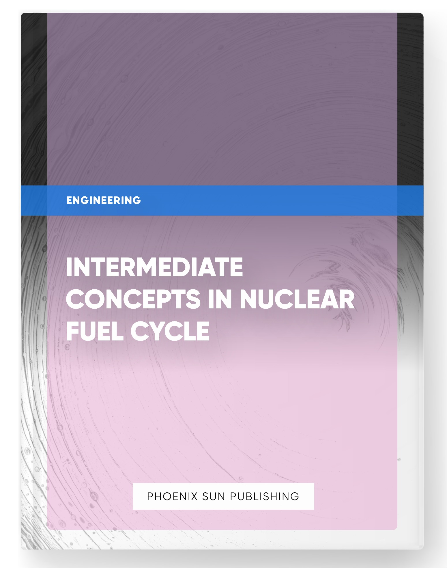 Intermediate Concepts in Nuclear Fuel Cycle