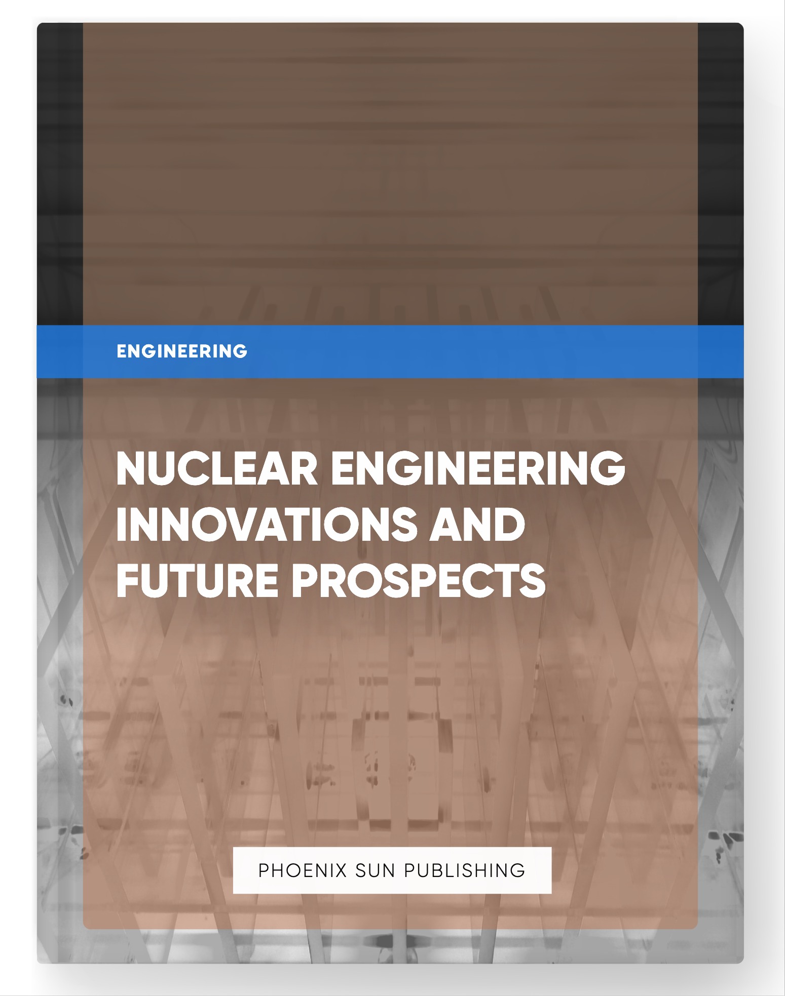 Nuclear Engineering Innovations and Future Prospects