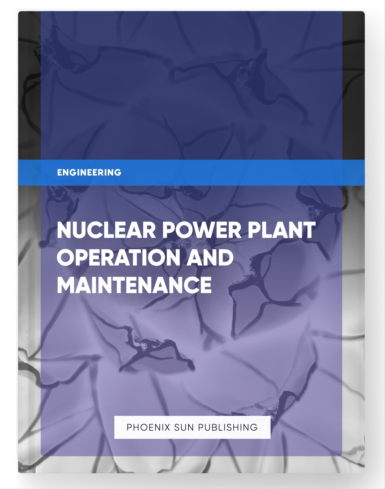 Nuclear Power Plant Operation and Maintenance