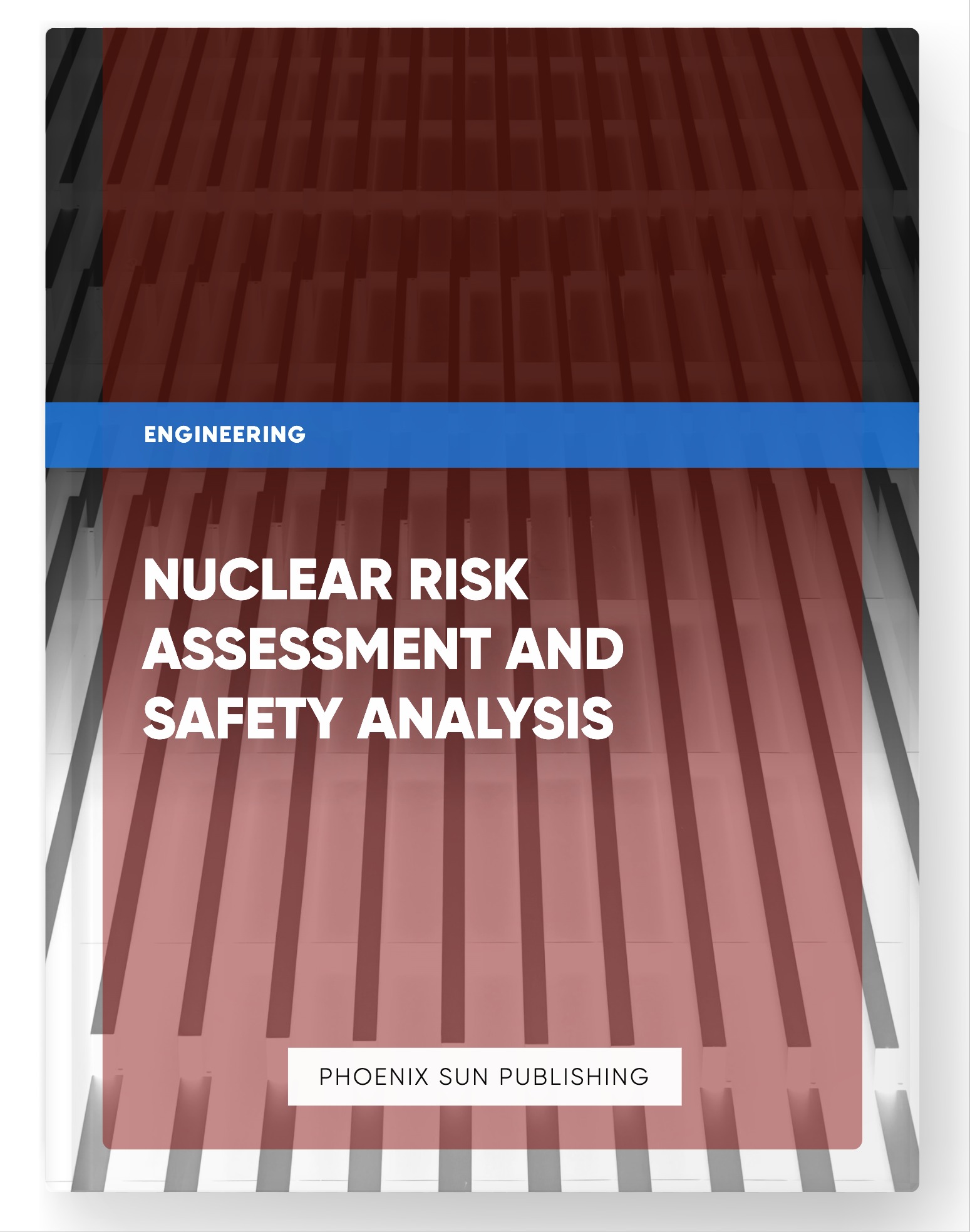 Nuclear Risk Assessment and Safety Analysis