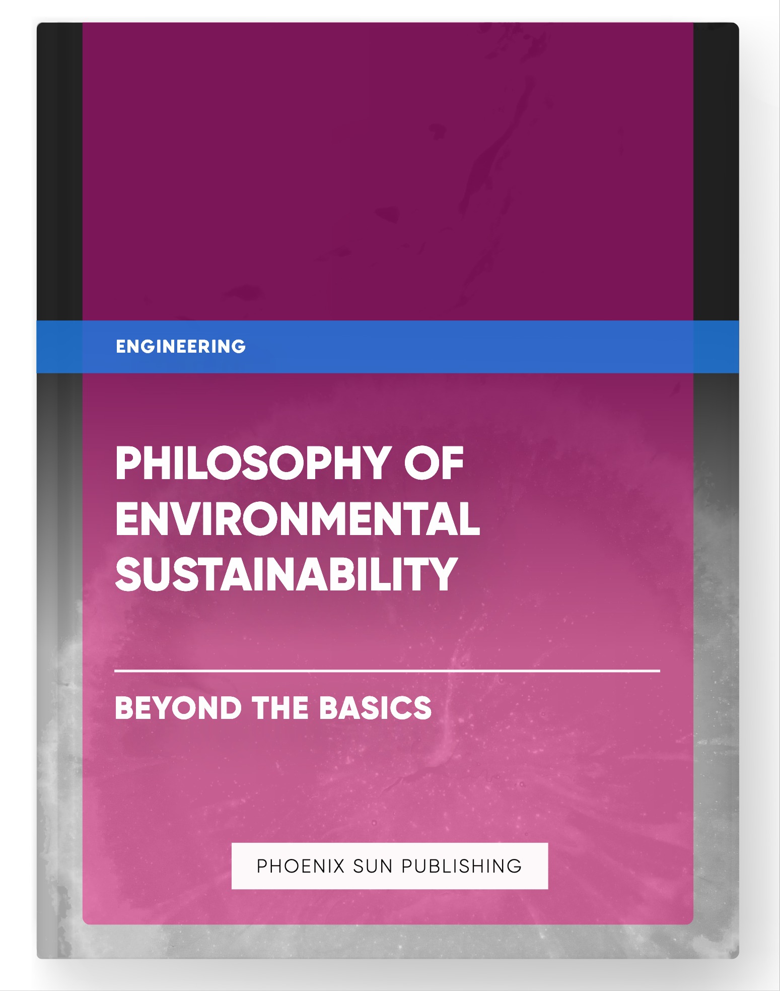 Philosophy of Environmental Sustainability – Beyond the Basics