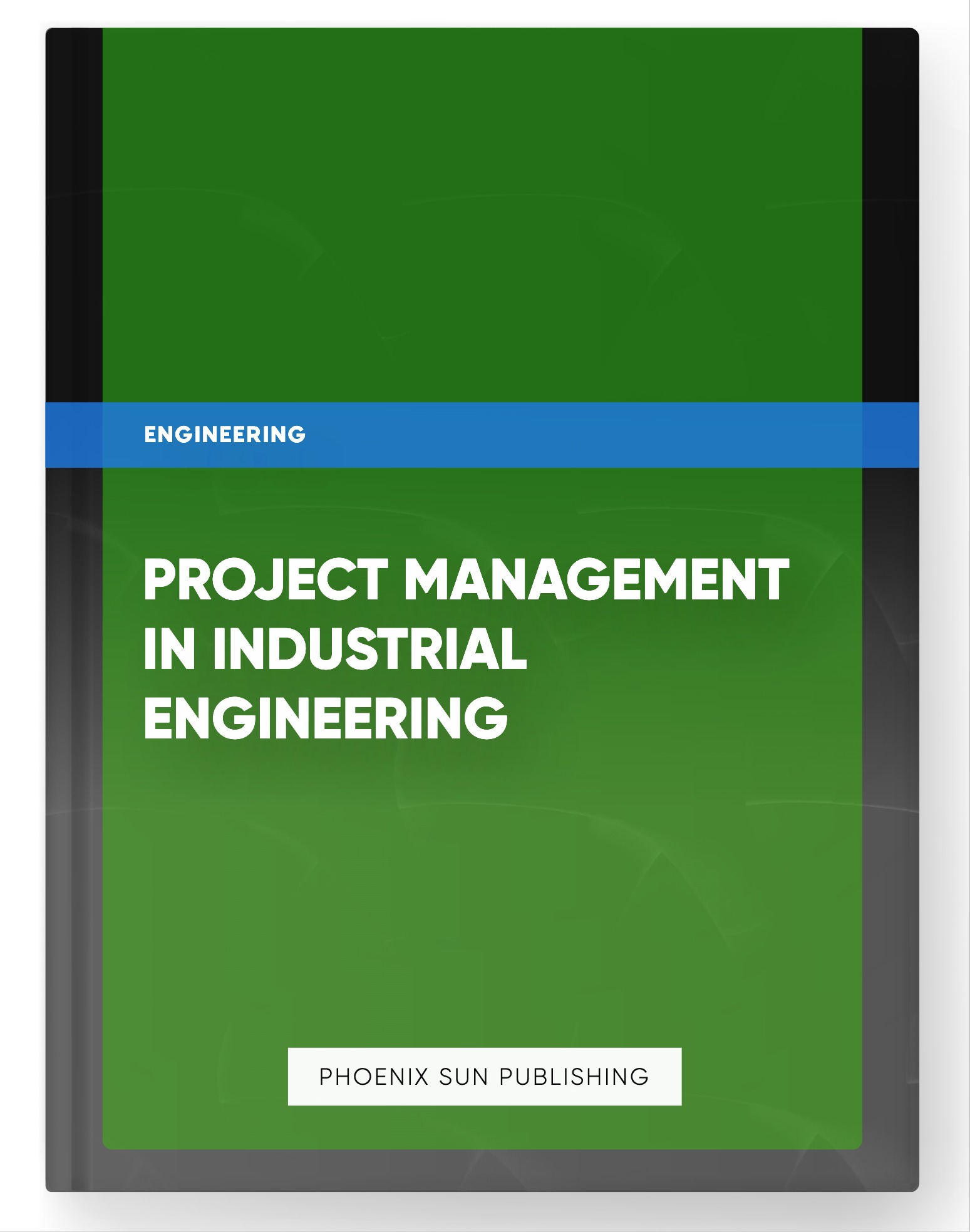 Project Management in Industrial Engineering