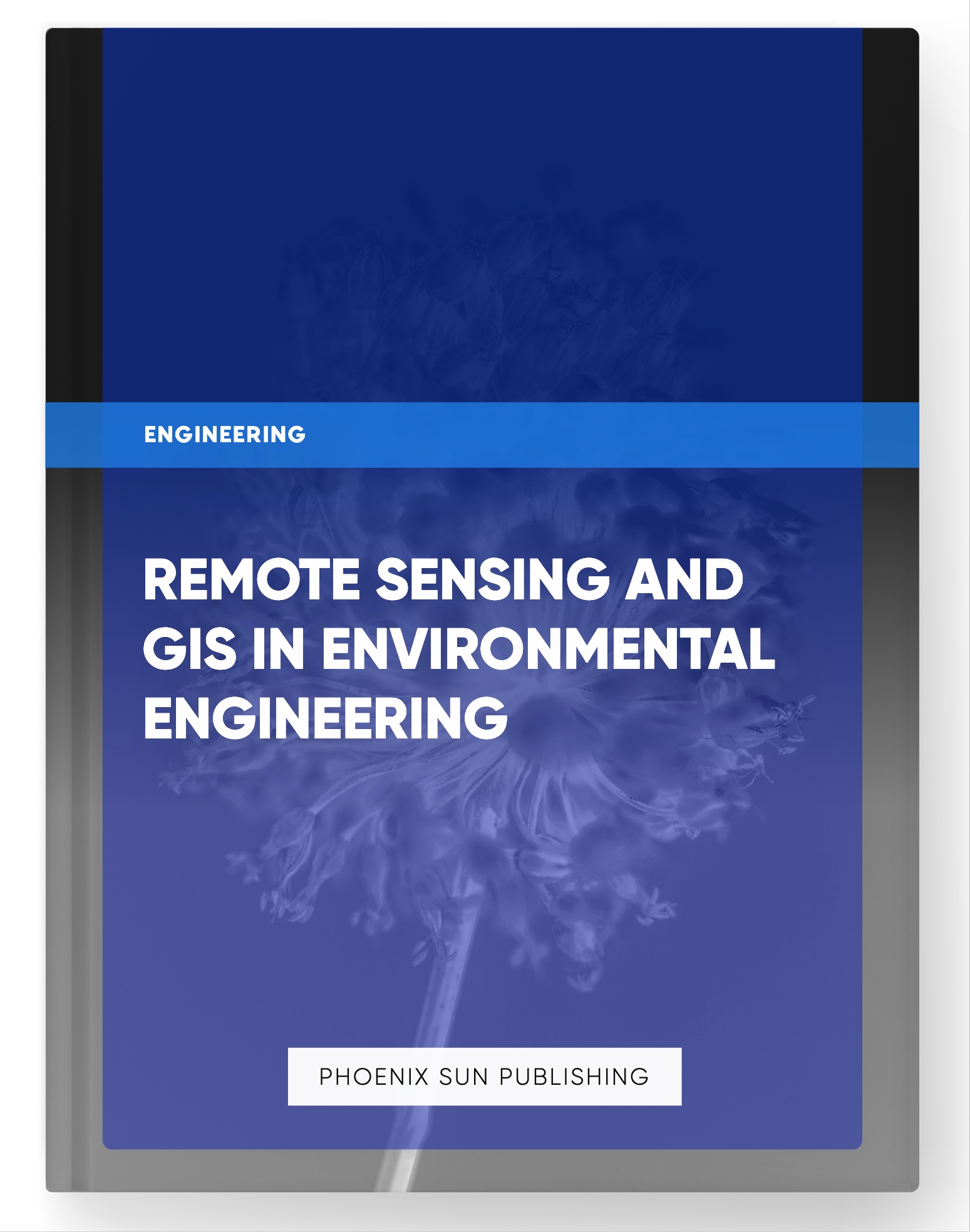 Remote Sensing and GIS in Environmental Engineering