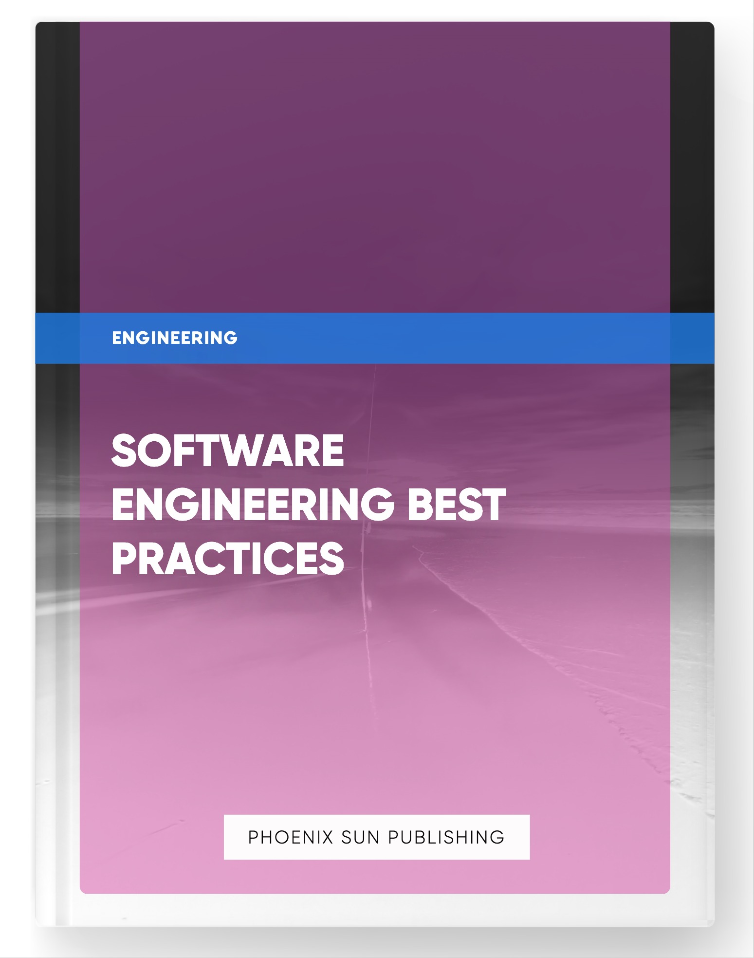 Software Engineering Best Practices