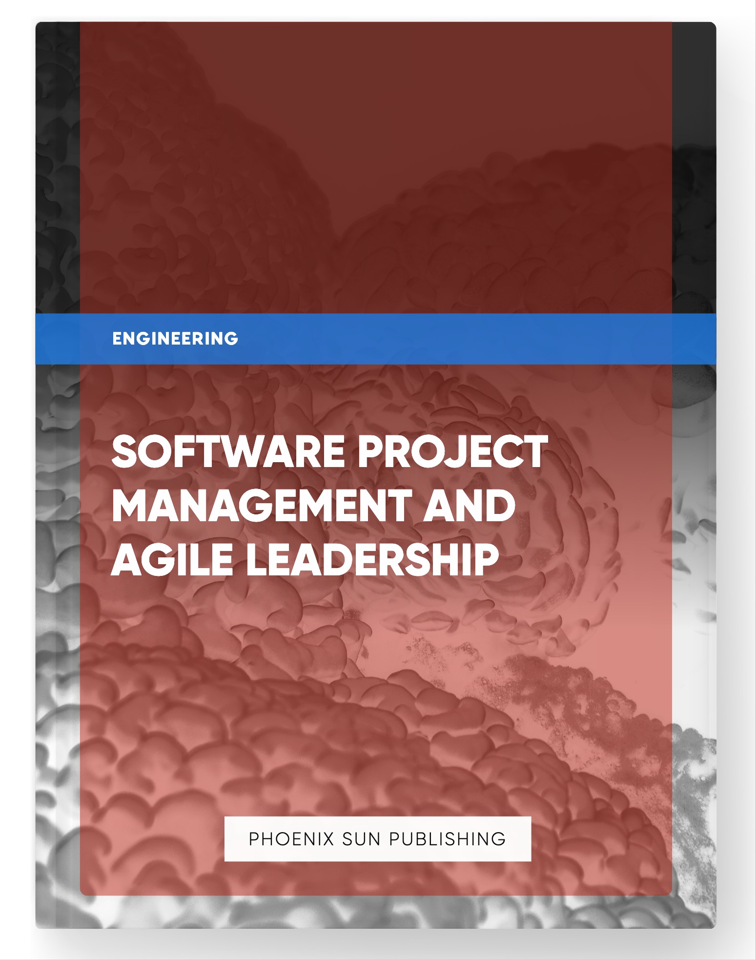 Software Project Management and Agile Leadership