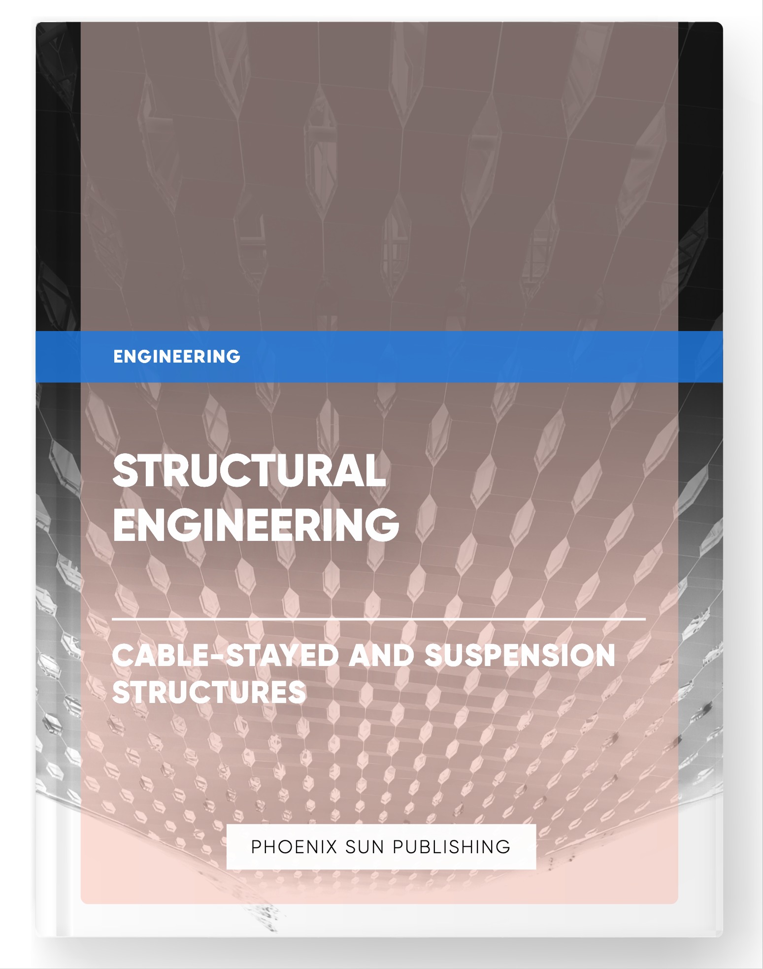 Structural Engineering – Cable-Stayed and Suspension Structures