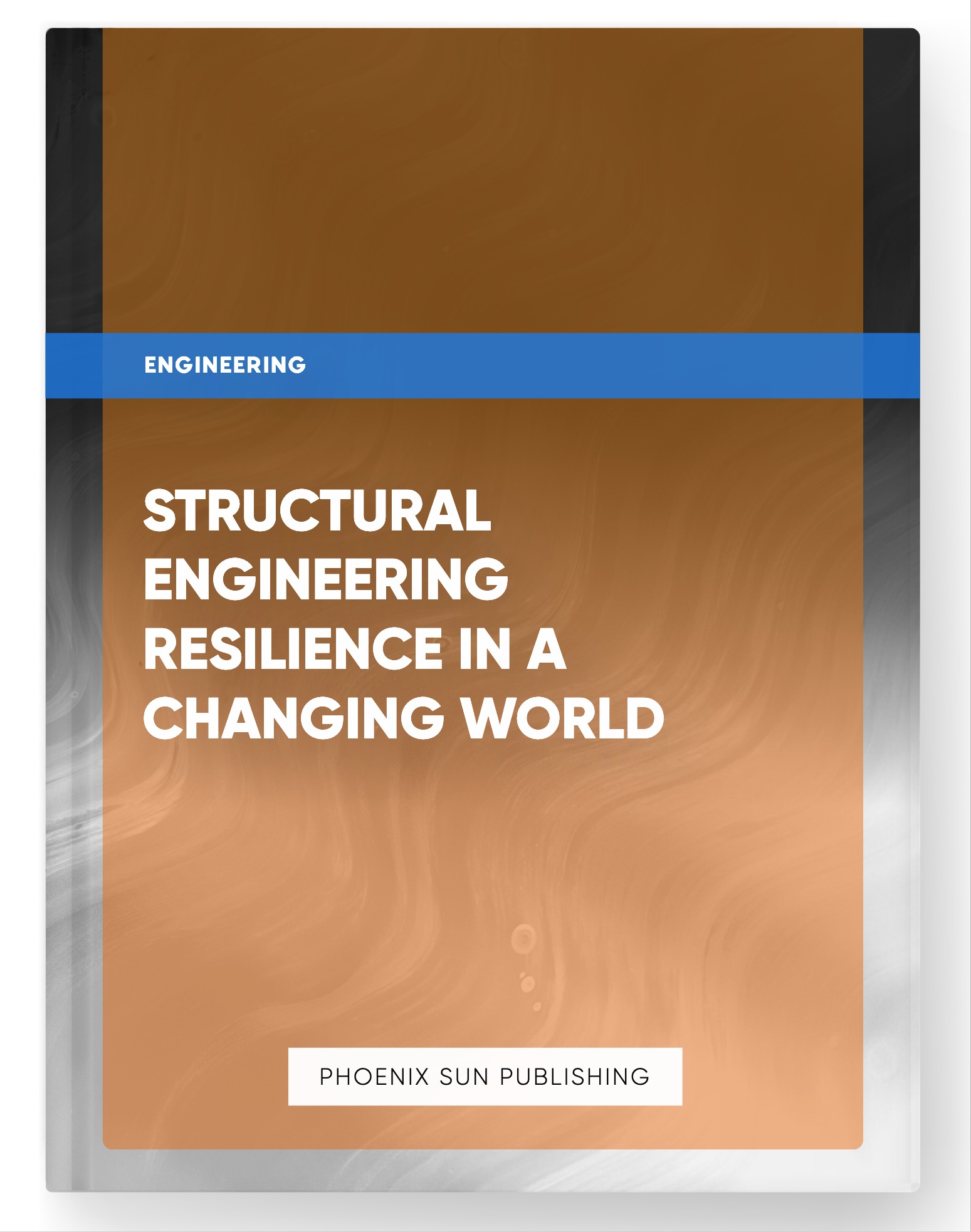 Structural Engineering Resilience in a Changing World