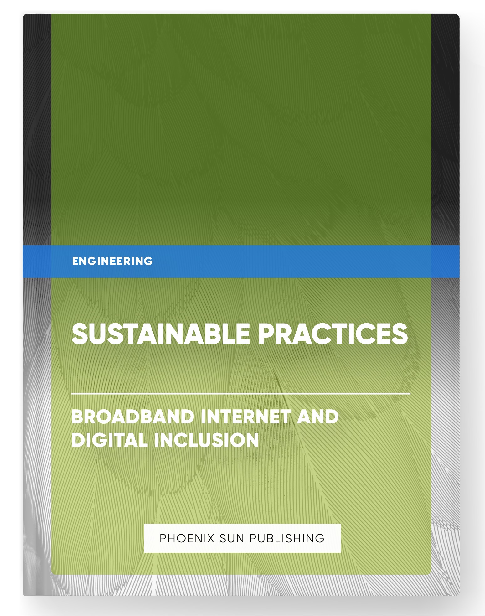 Sustainable Practices – Broadband Internet and Digital Inclusion