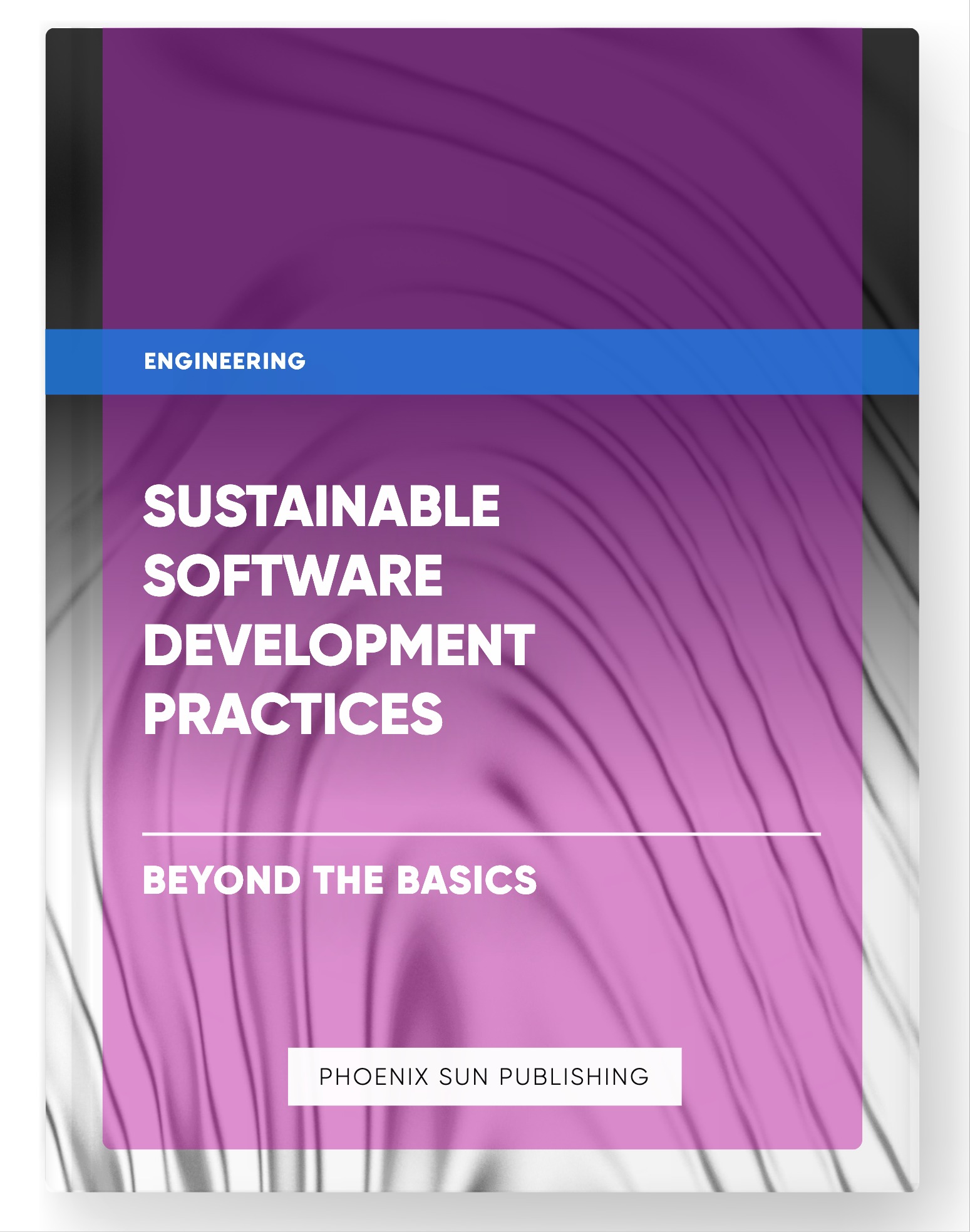 Sustainable Software Development Practices – Beyond the Basics