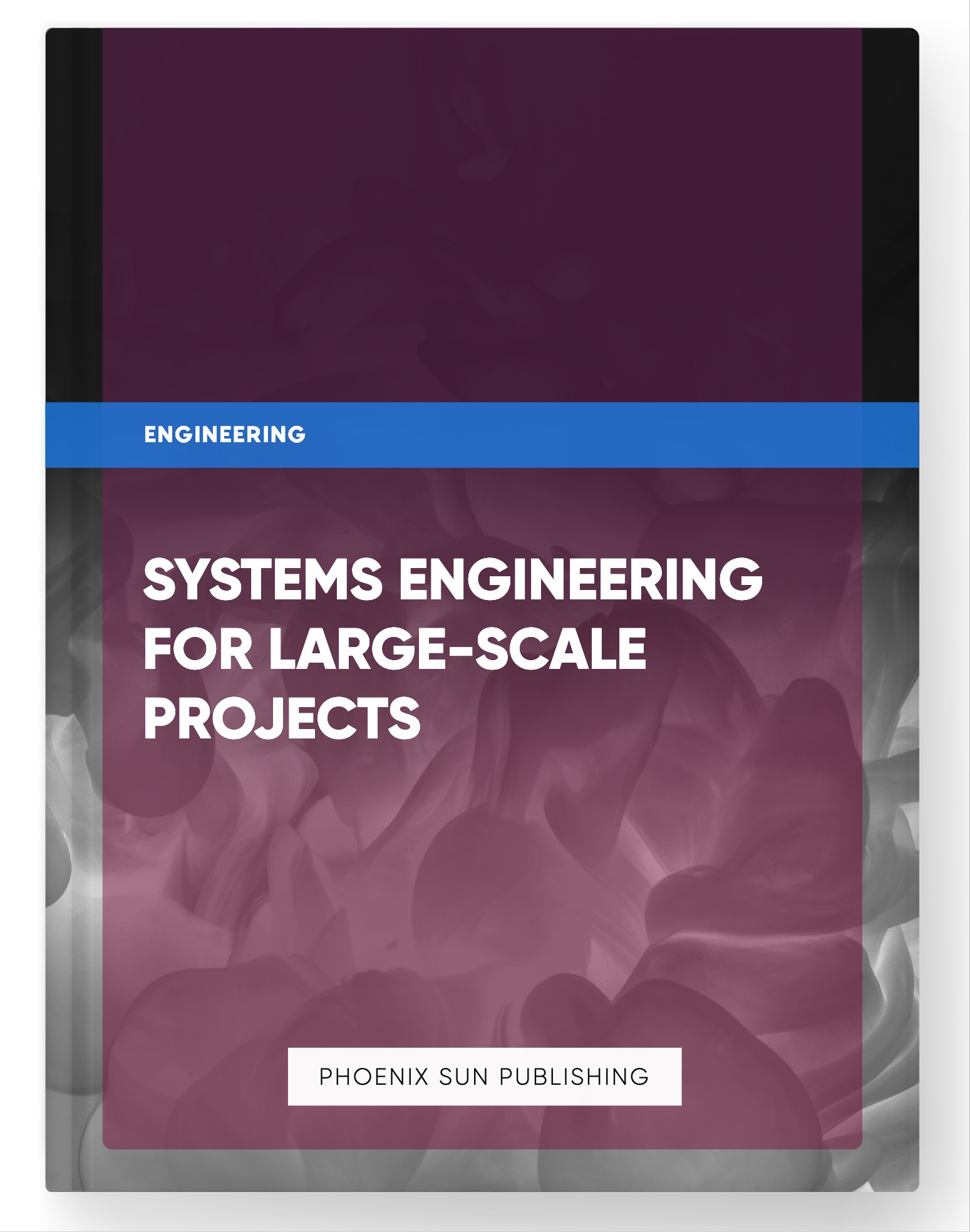 Systems Engineering for Large-Scale Projects