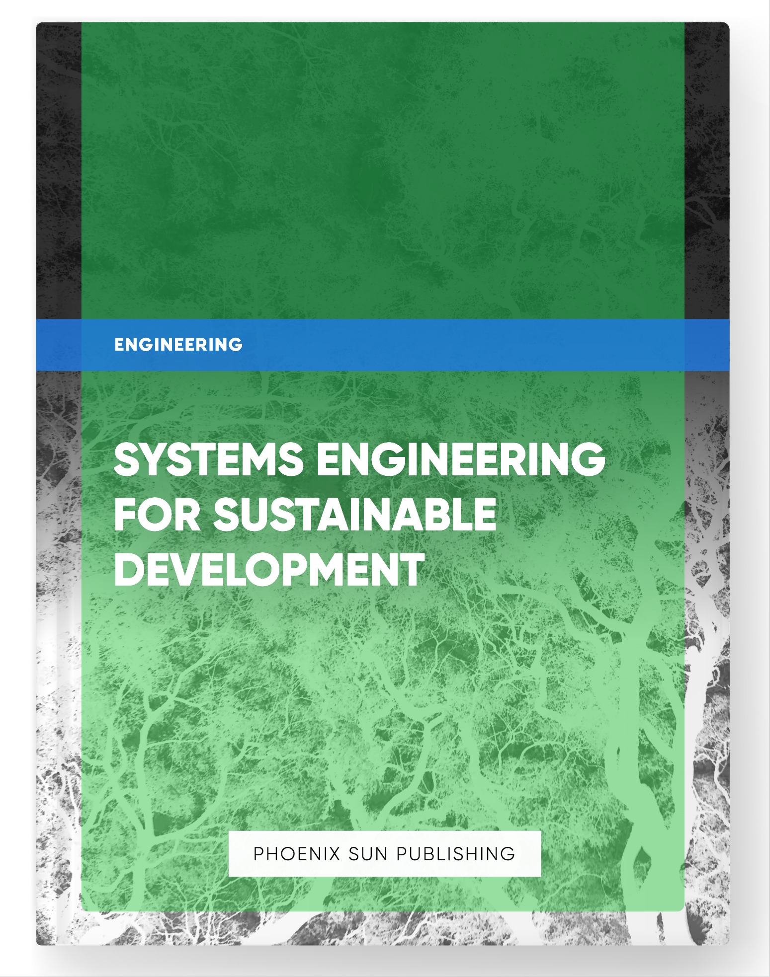 Systems Engineering for Sustainable Development