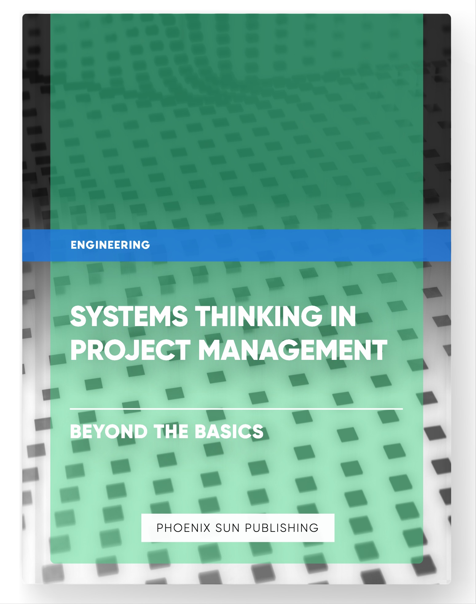 Systems Thinking in Project Management – Beyond the Basics