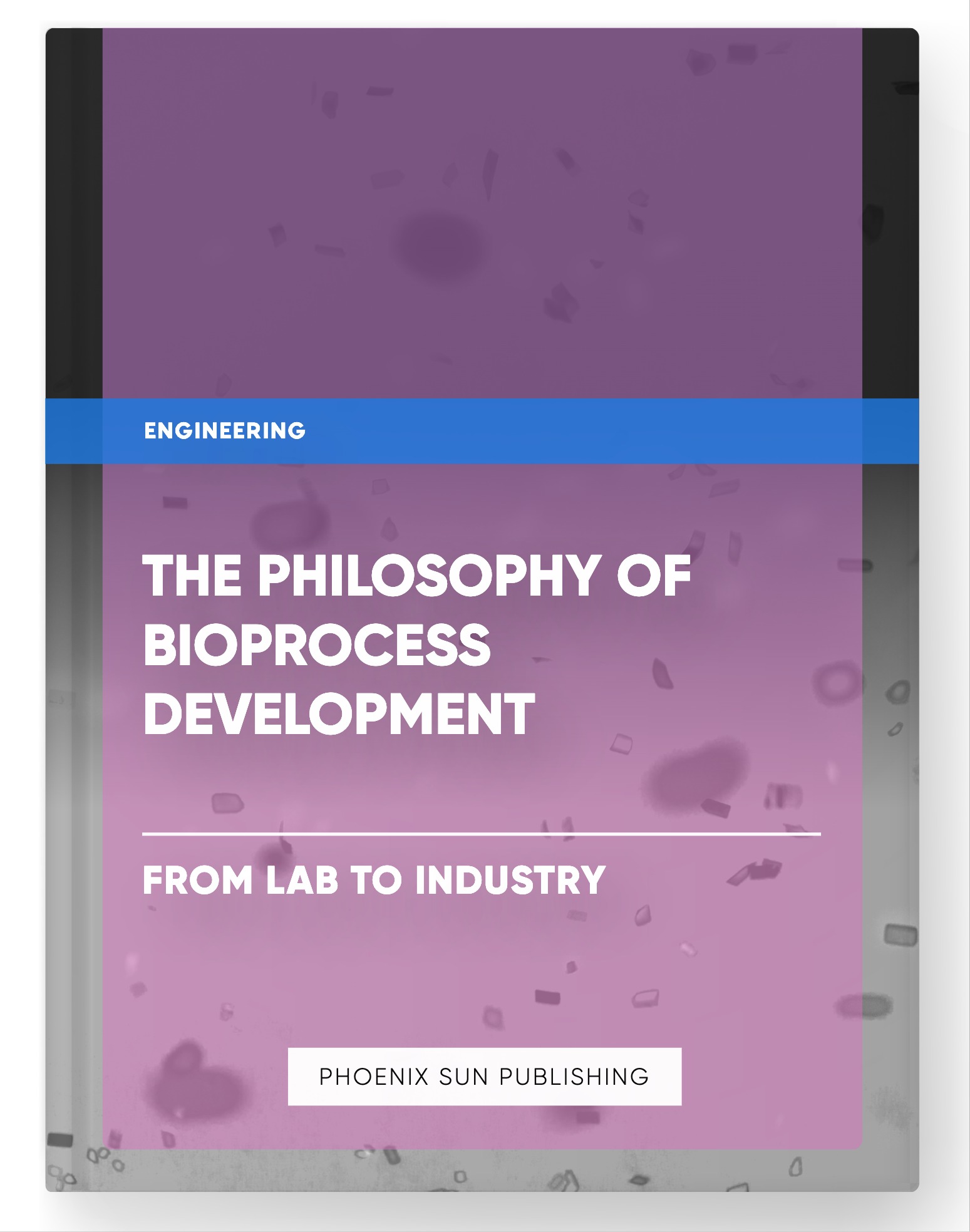 The Philosophy of Bioprocess Development – From Lab to Industry