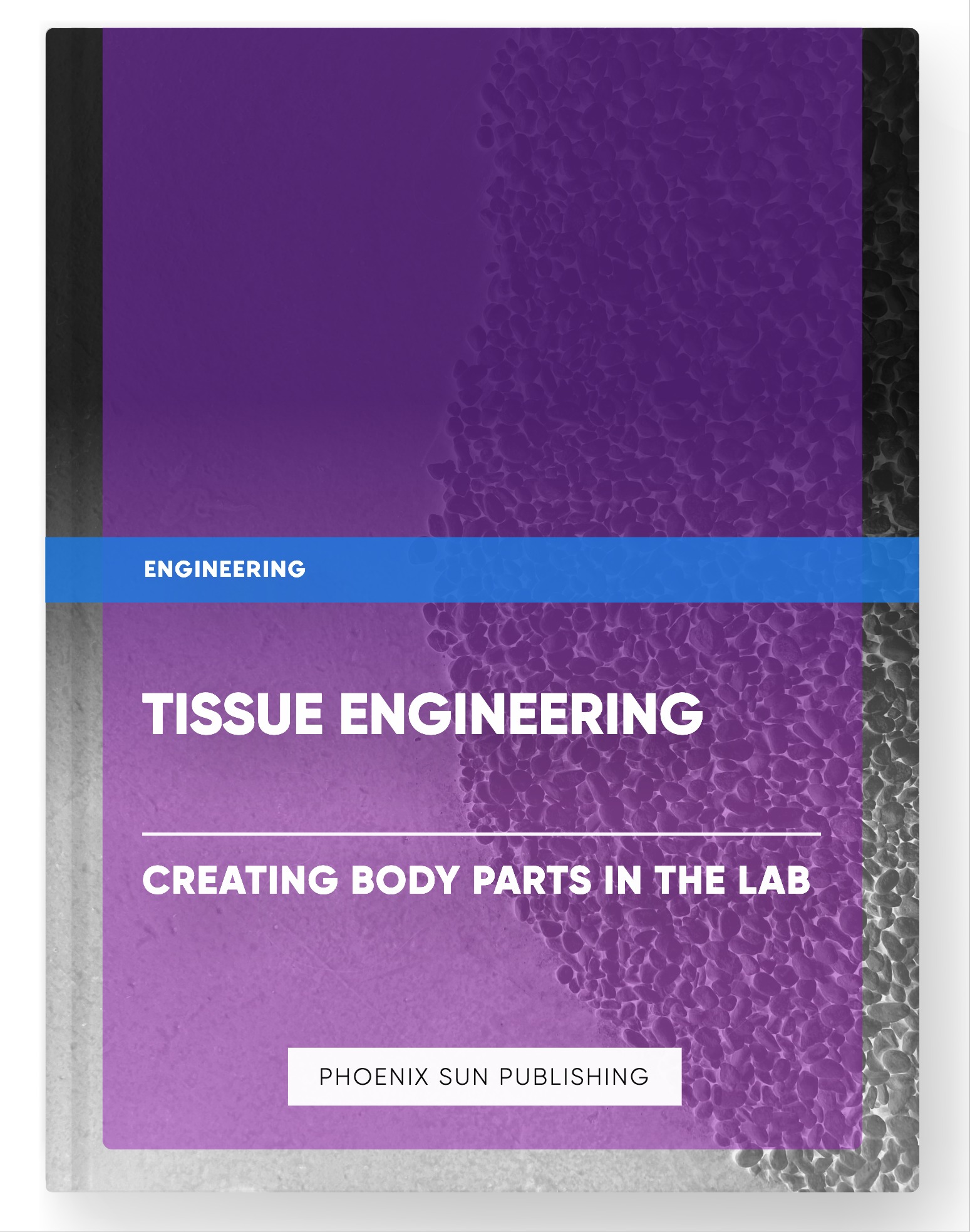 Tissue Engineering – Creating Body Parts in the Lab