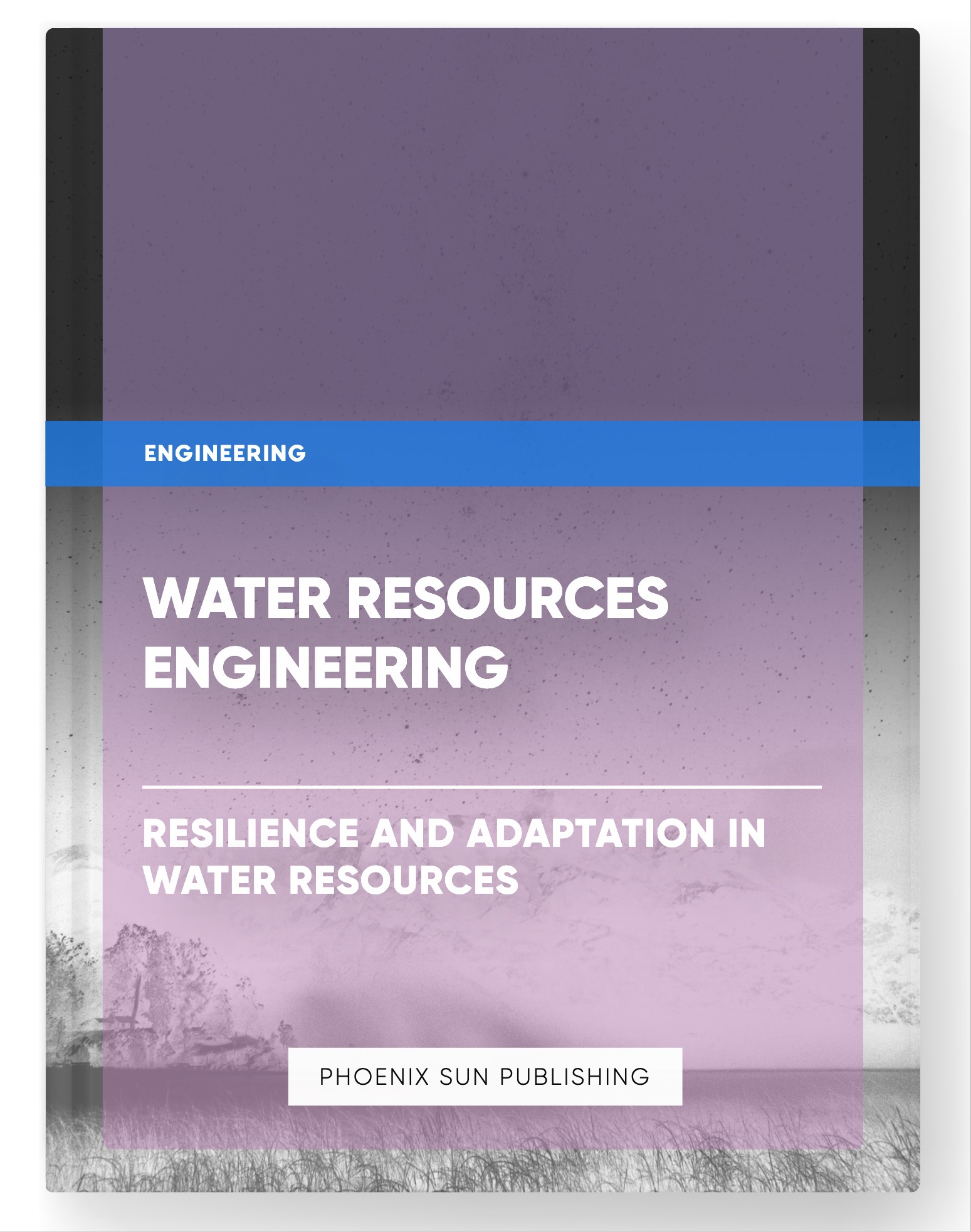 Water Resources Engineering – Resilience and Adaptation in Water Resources